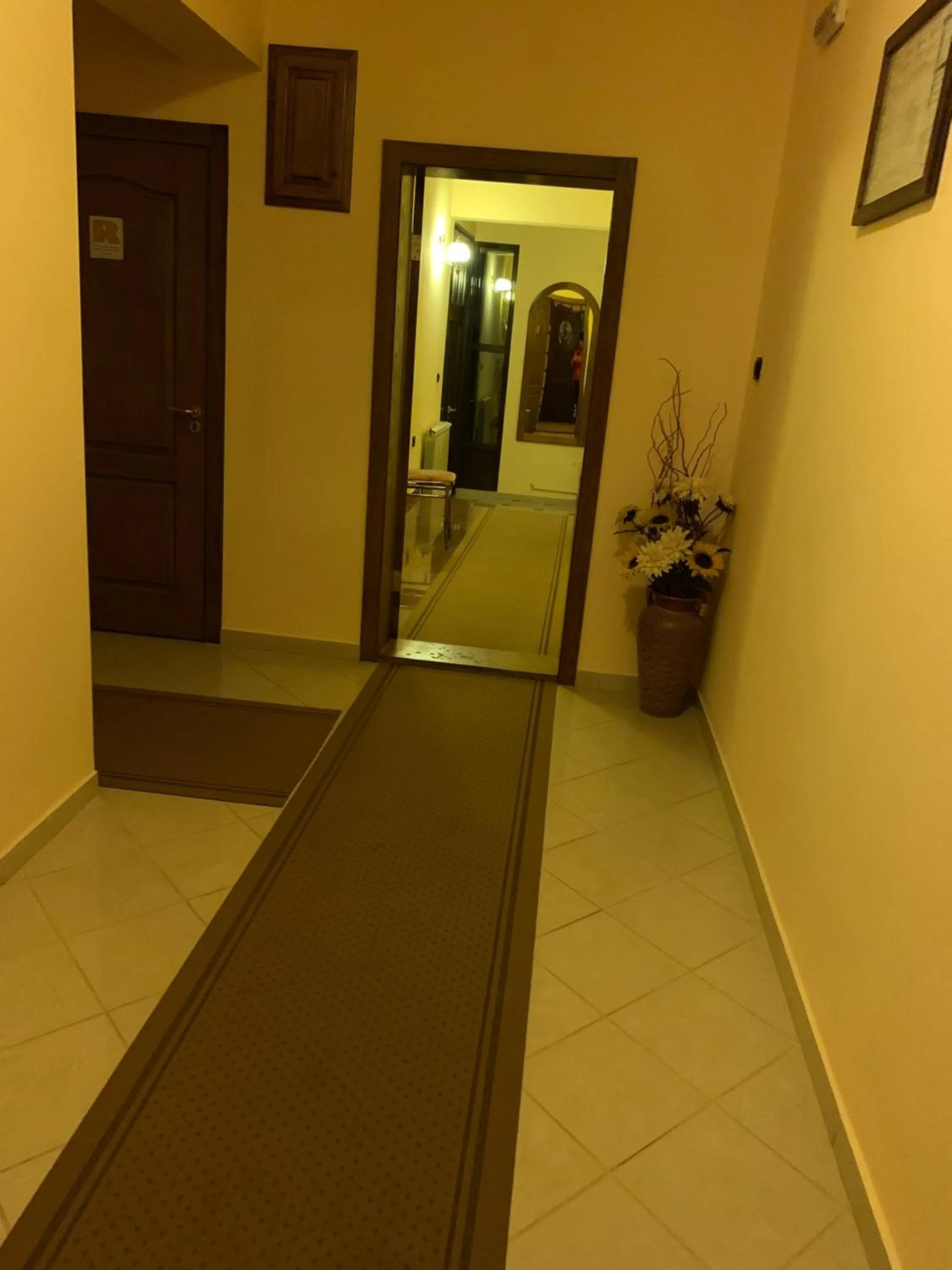 Area and facilities in Pensiunea Imperial