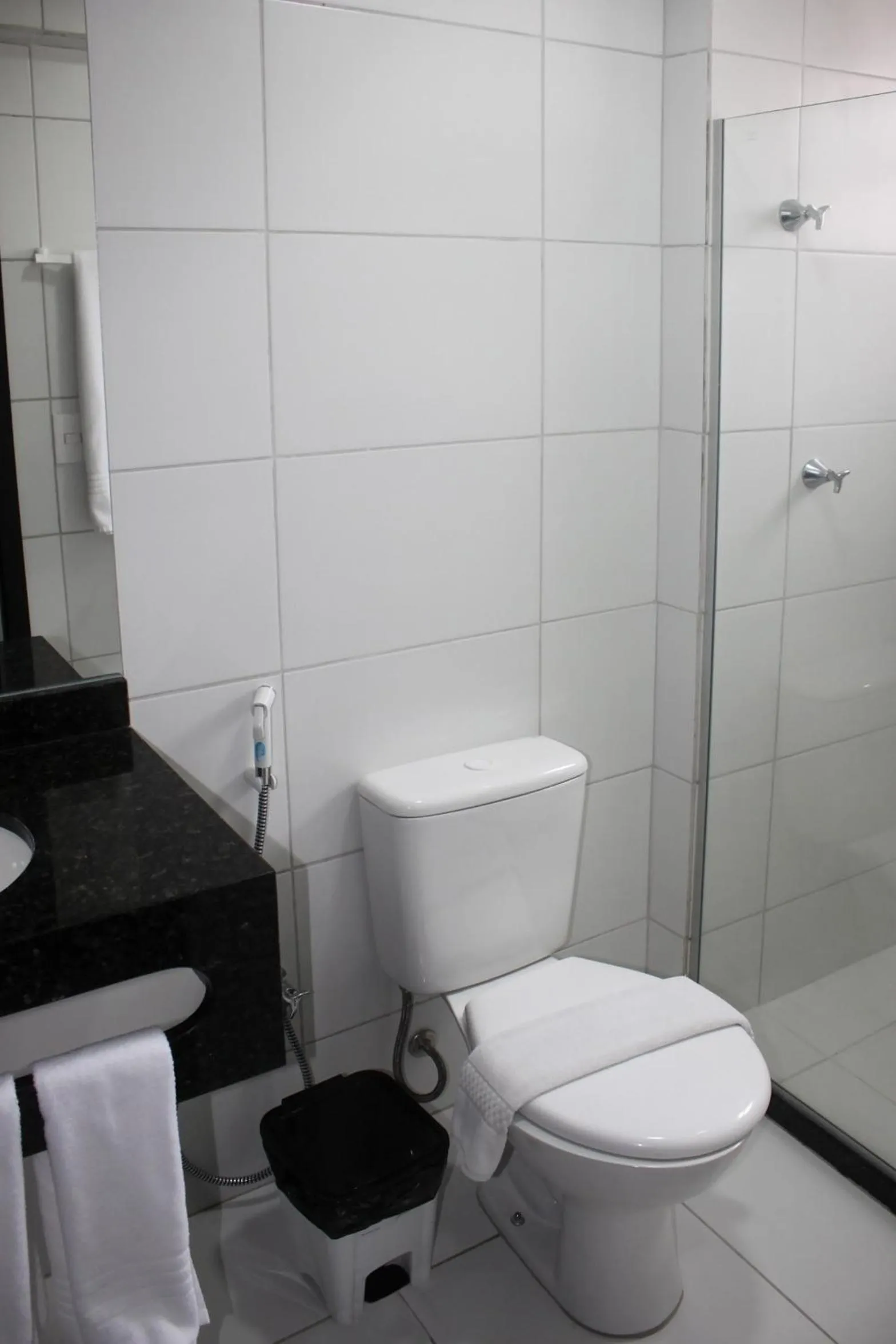 Toilet in Trópico Praia Hotel