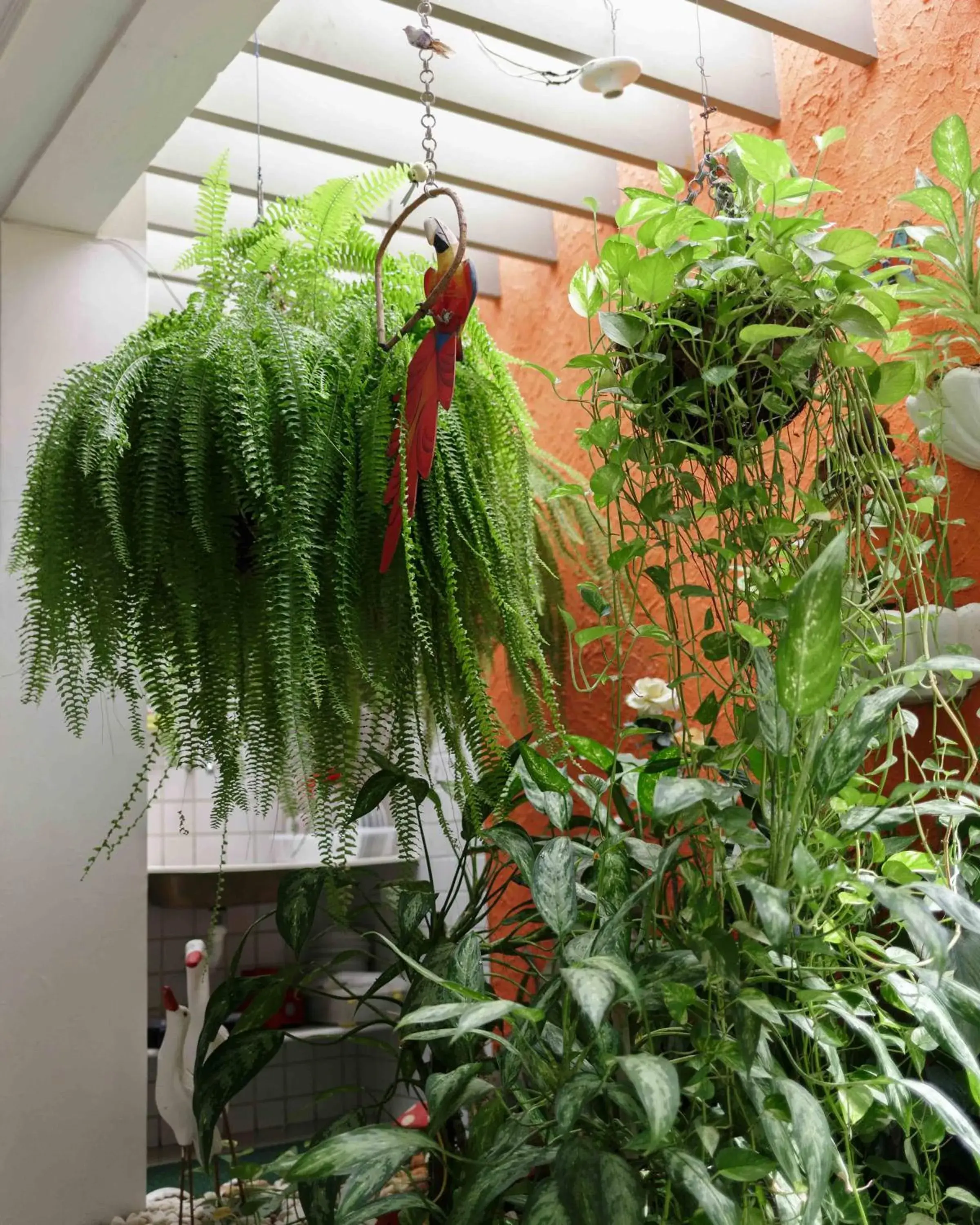 Garden view in Trópico Praia Hotel Garden view in Trópico Praia Hotel