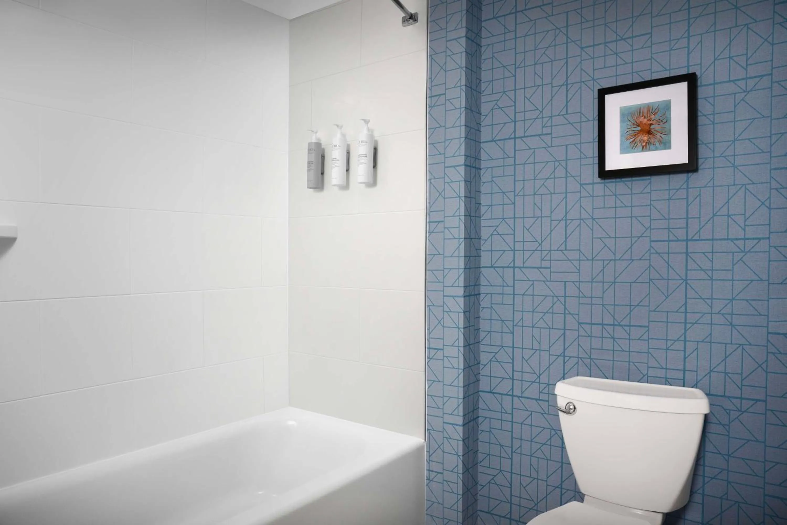 Shower in Homewood Suites by Hilton Jacksonville-Downtown/Southbank