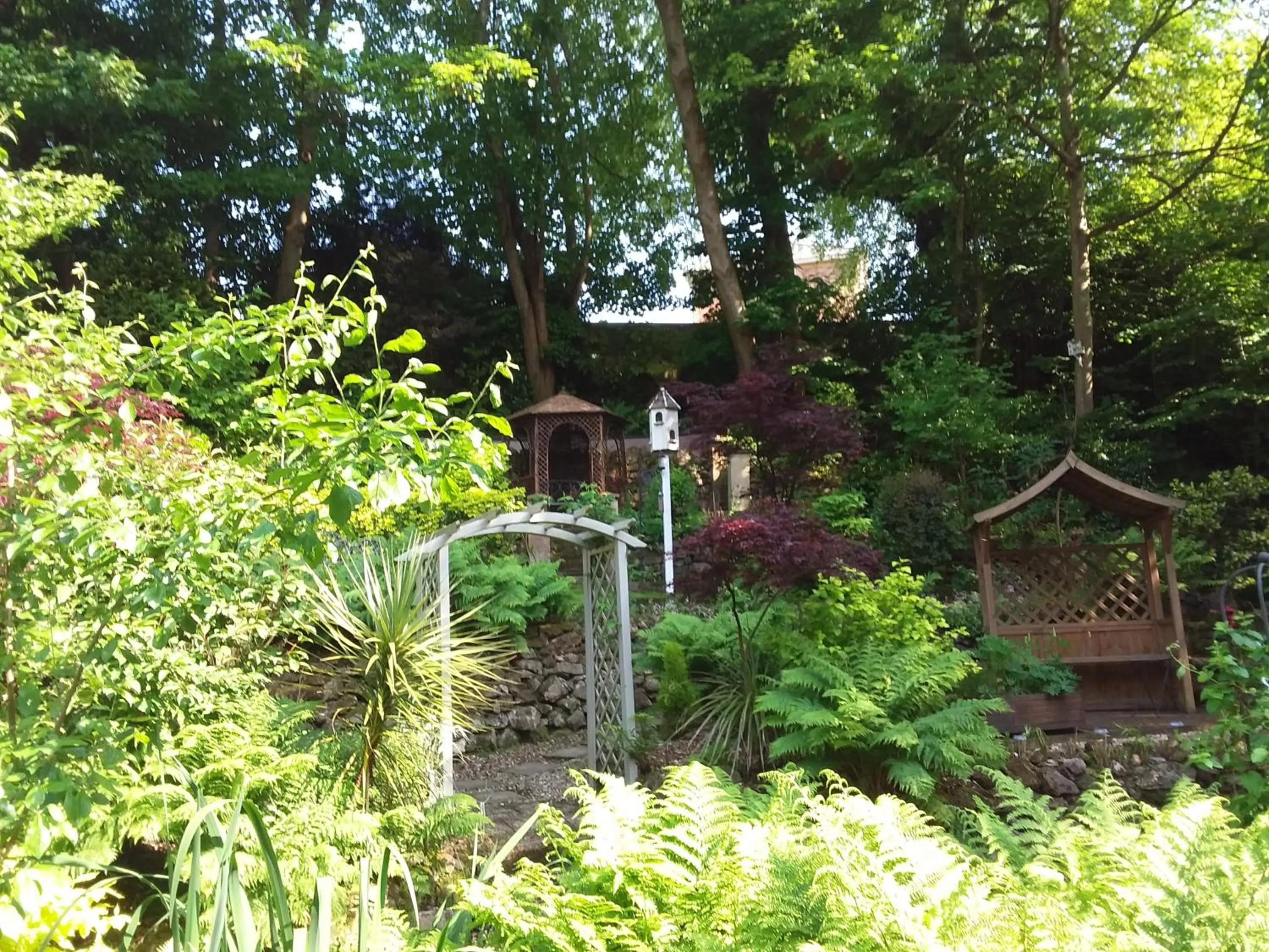 Garden in Chine Side