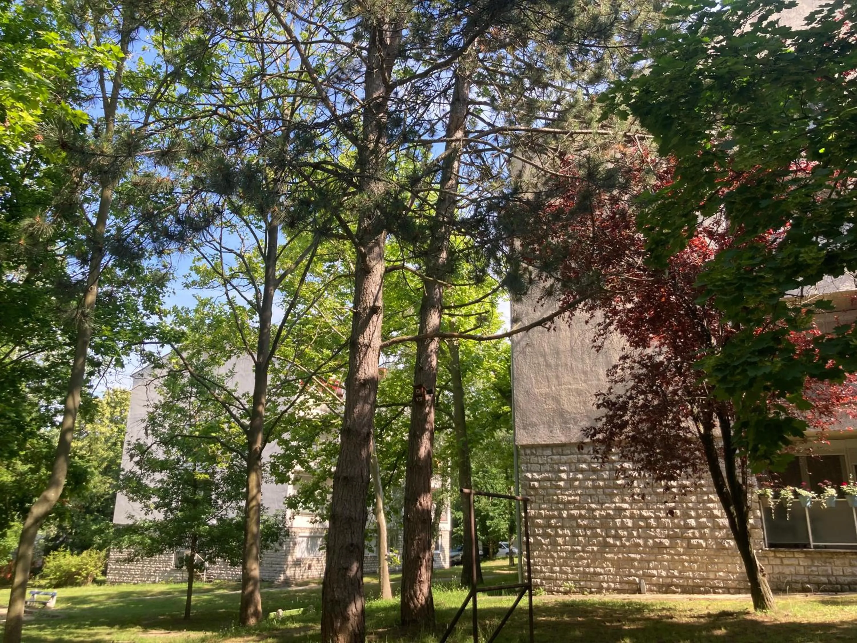 Neighbourhood in Oázis Apartman