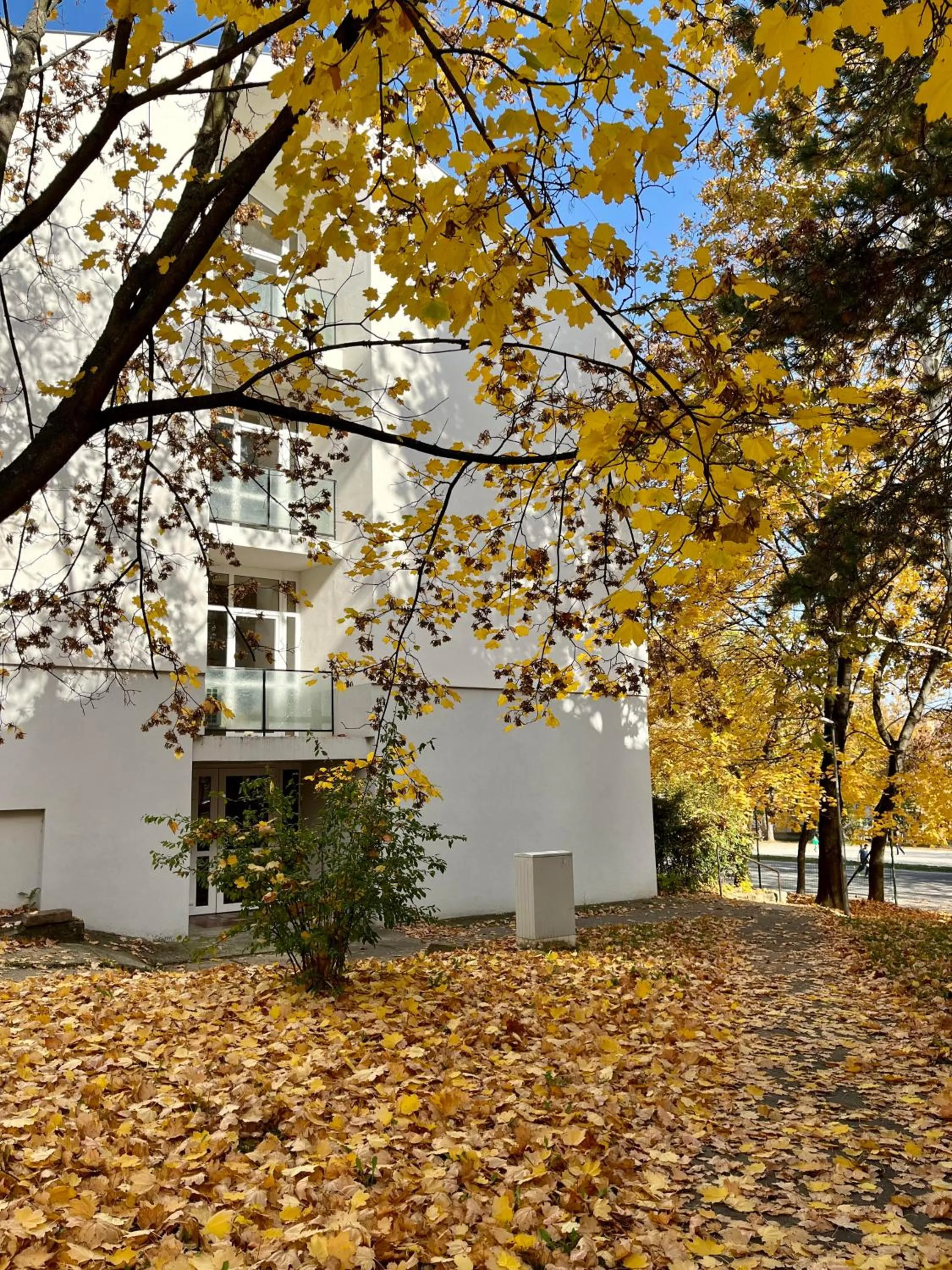 Facade/entrance in Oázis Apartman