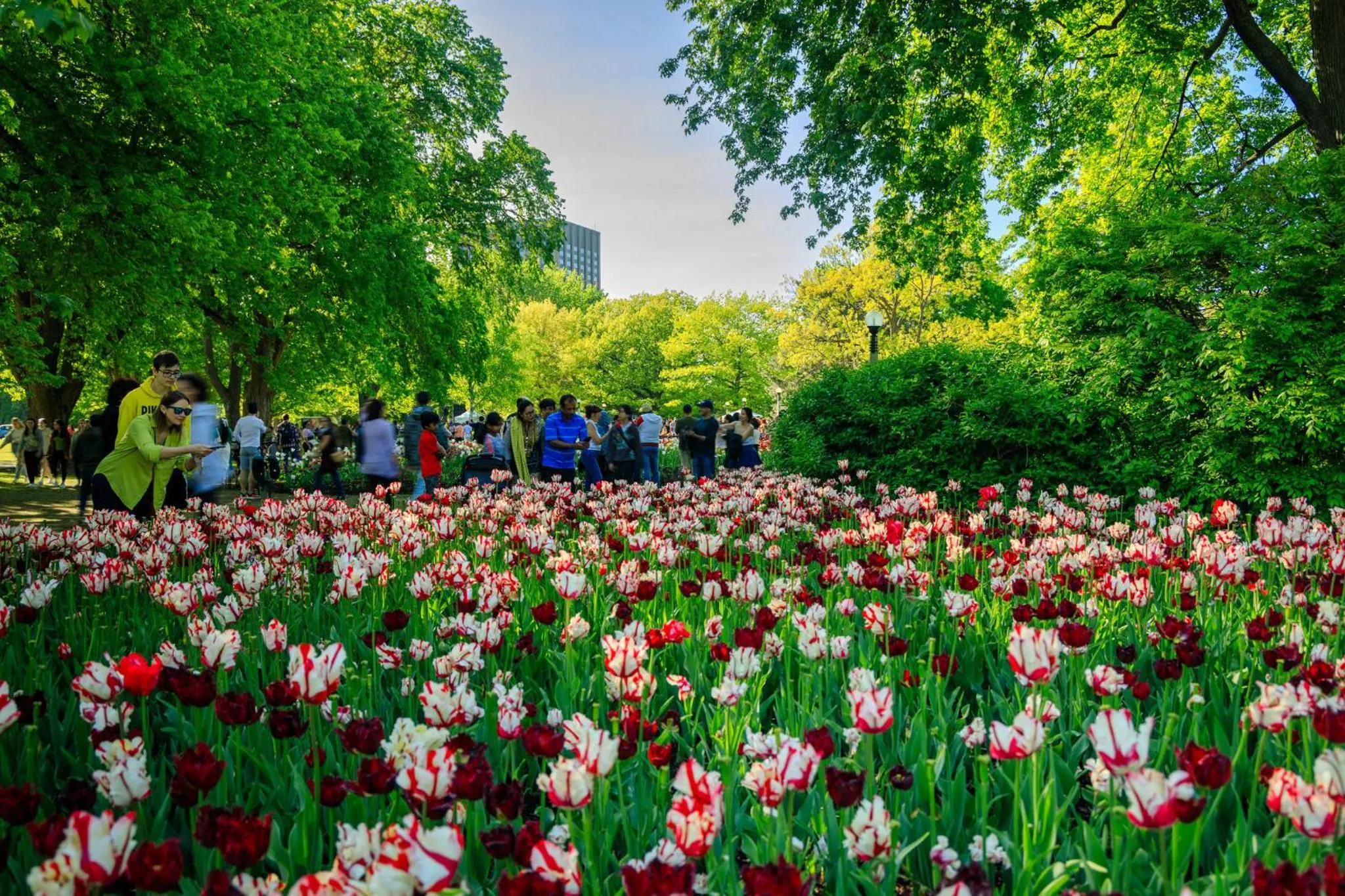 Nearby landmark in Holiday Inn Ottawa East by IHG