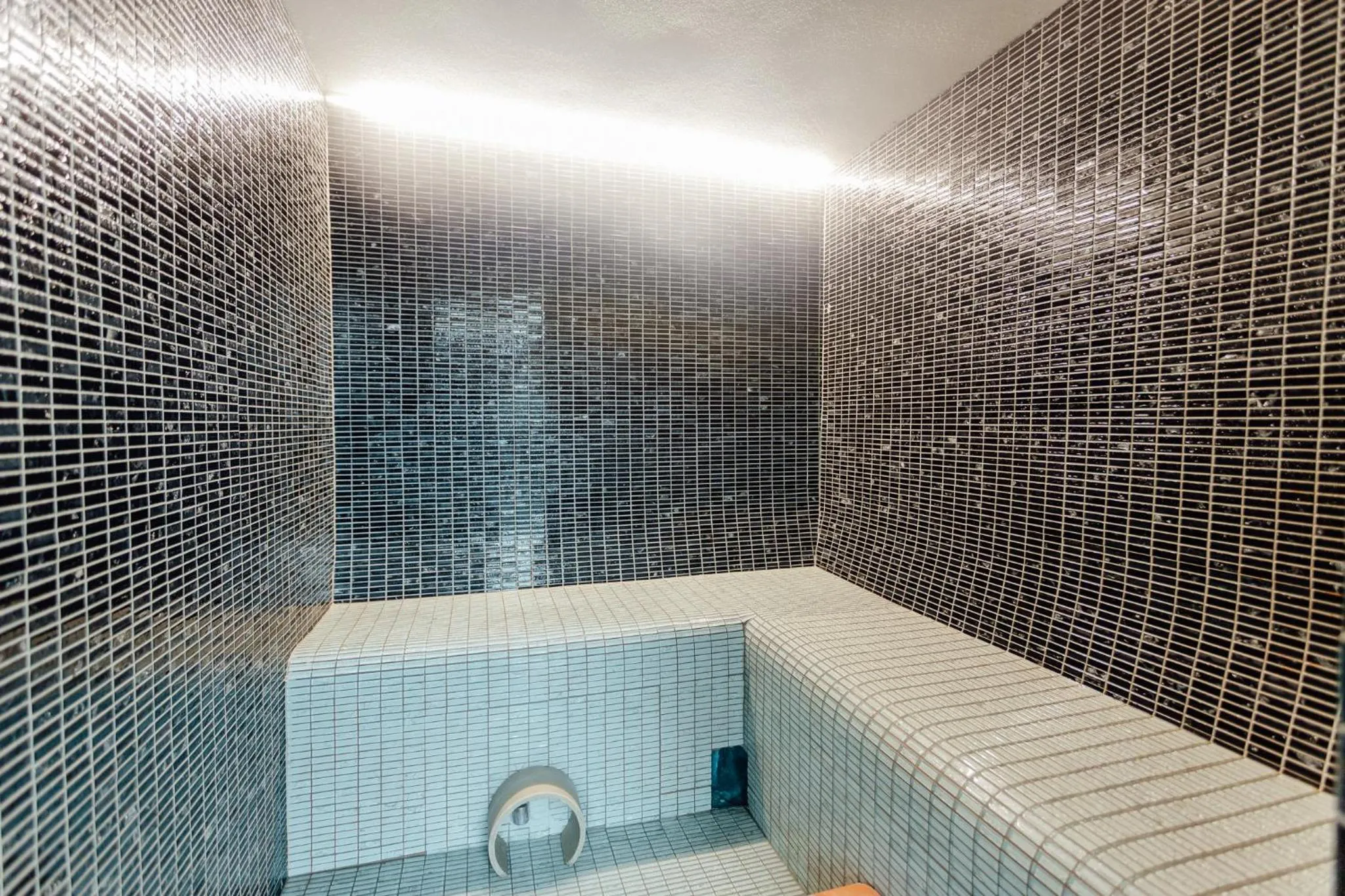 Spa and wellness centre/facilities in Holiday Inn Zilina by IHG