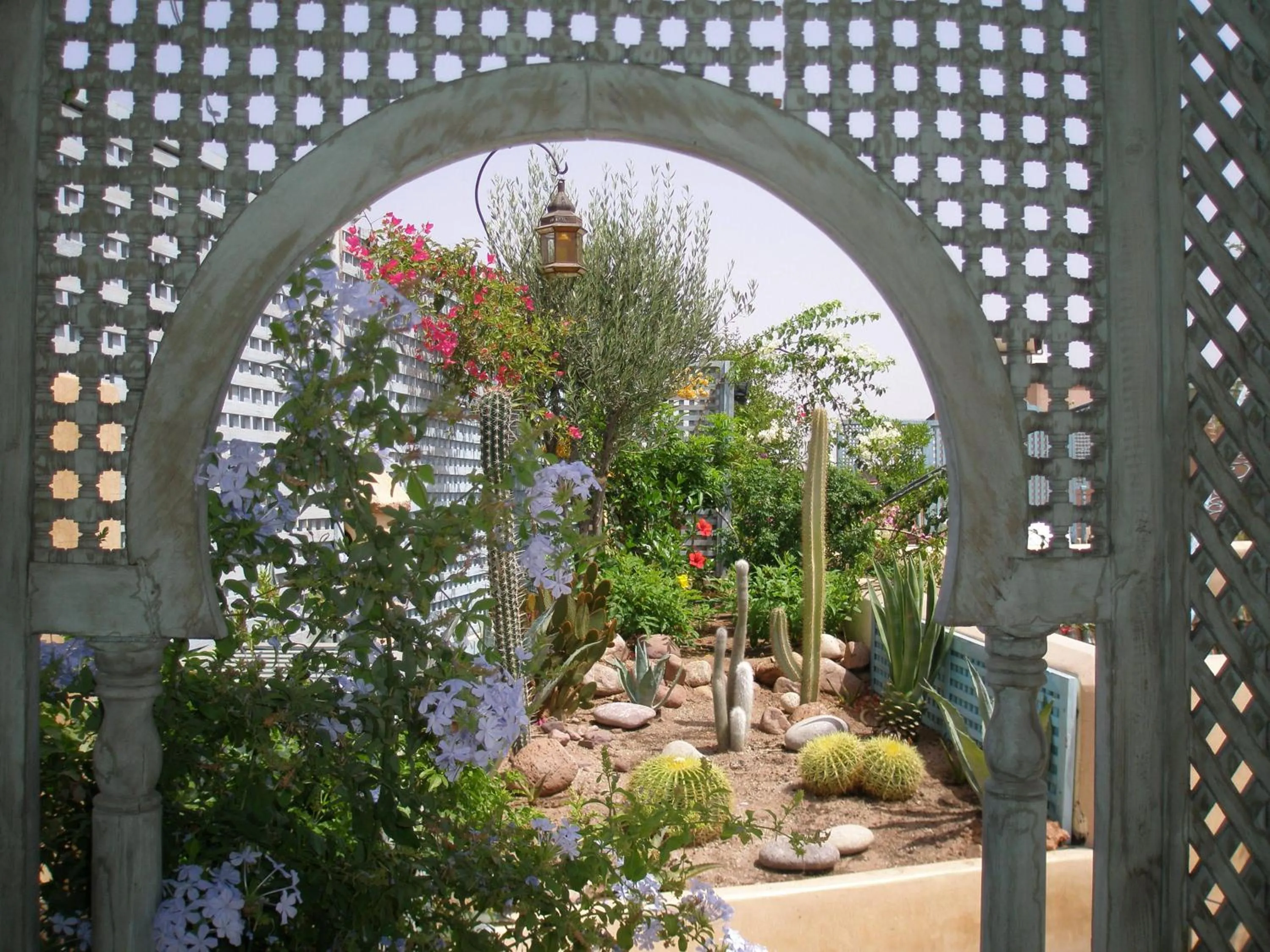 Balcony/Terrace in Riad Armelle