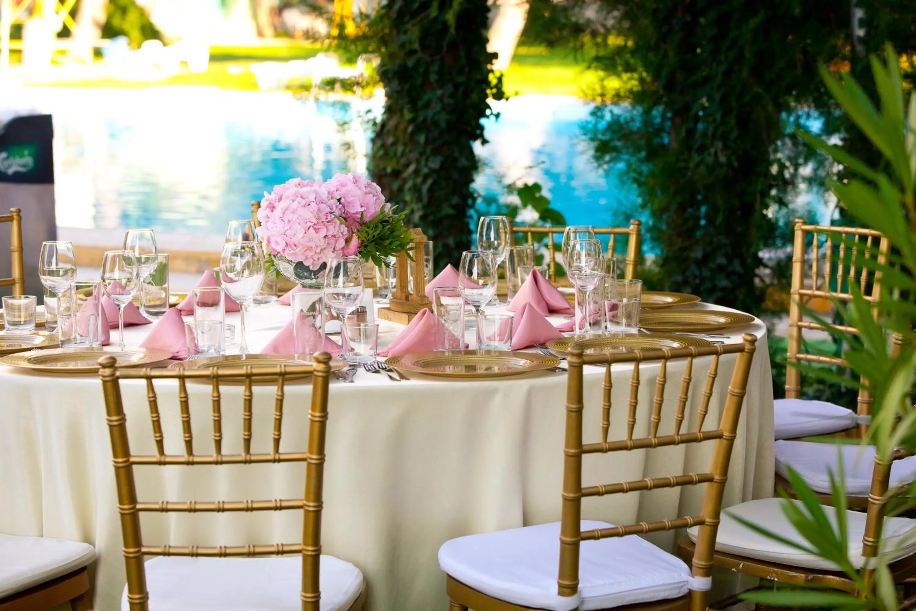 Garden in Drustar Hotel