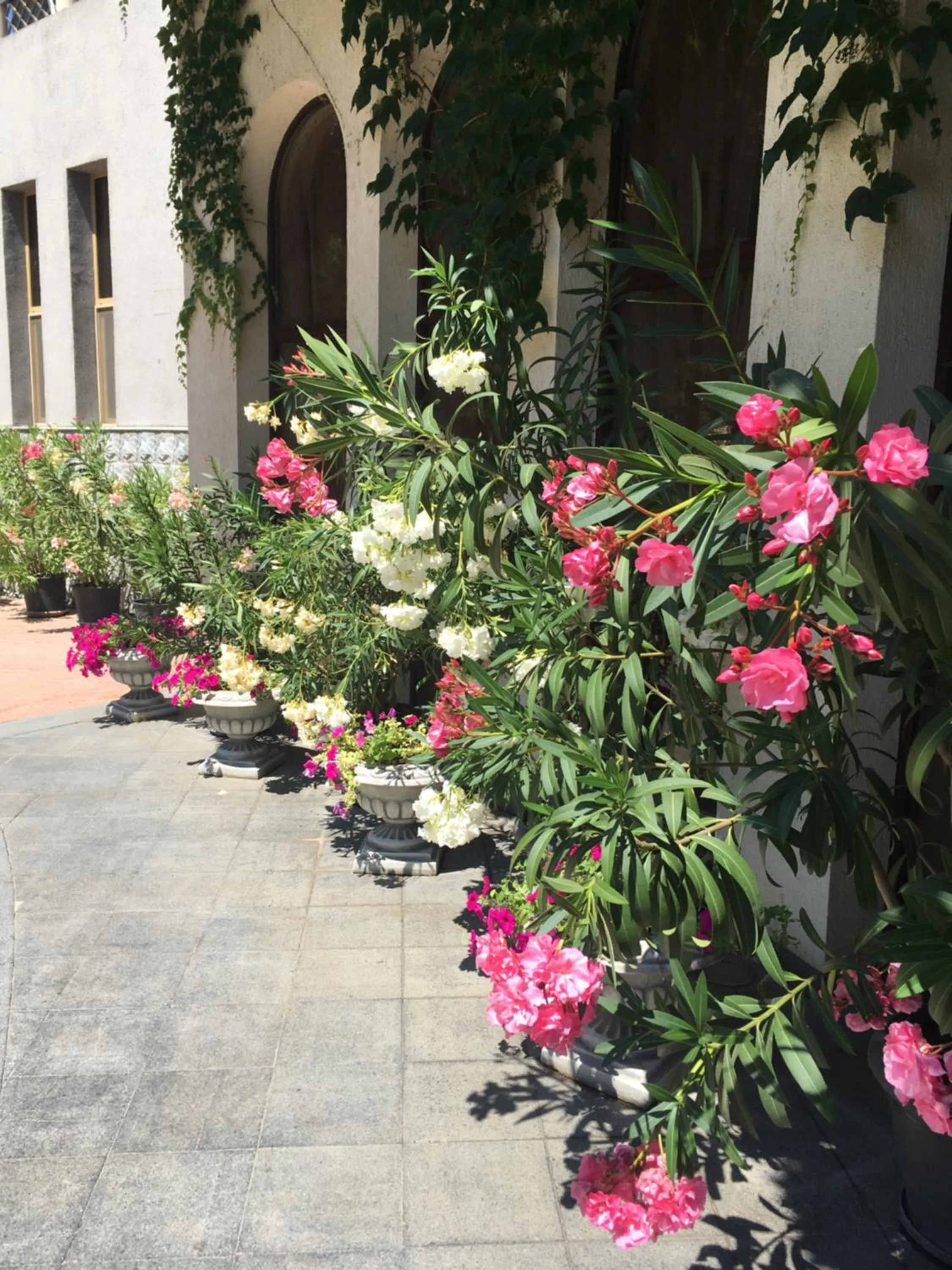 Property building in Drustar Hotel