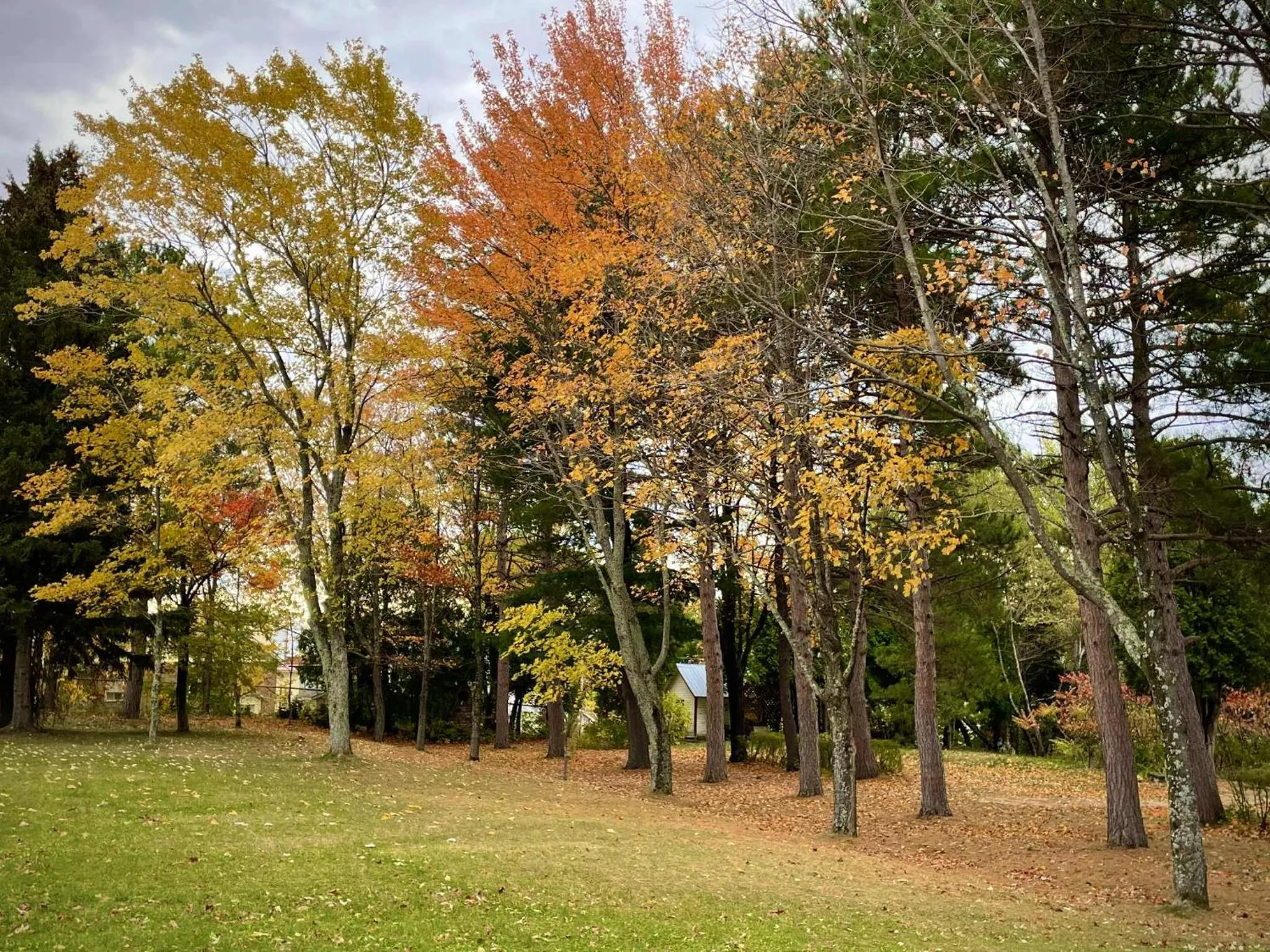 Garden in Maison Zacharie