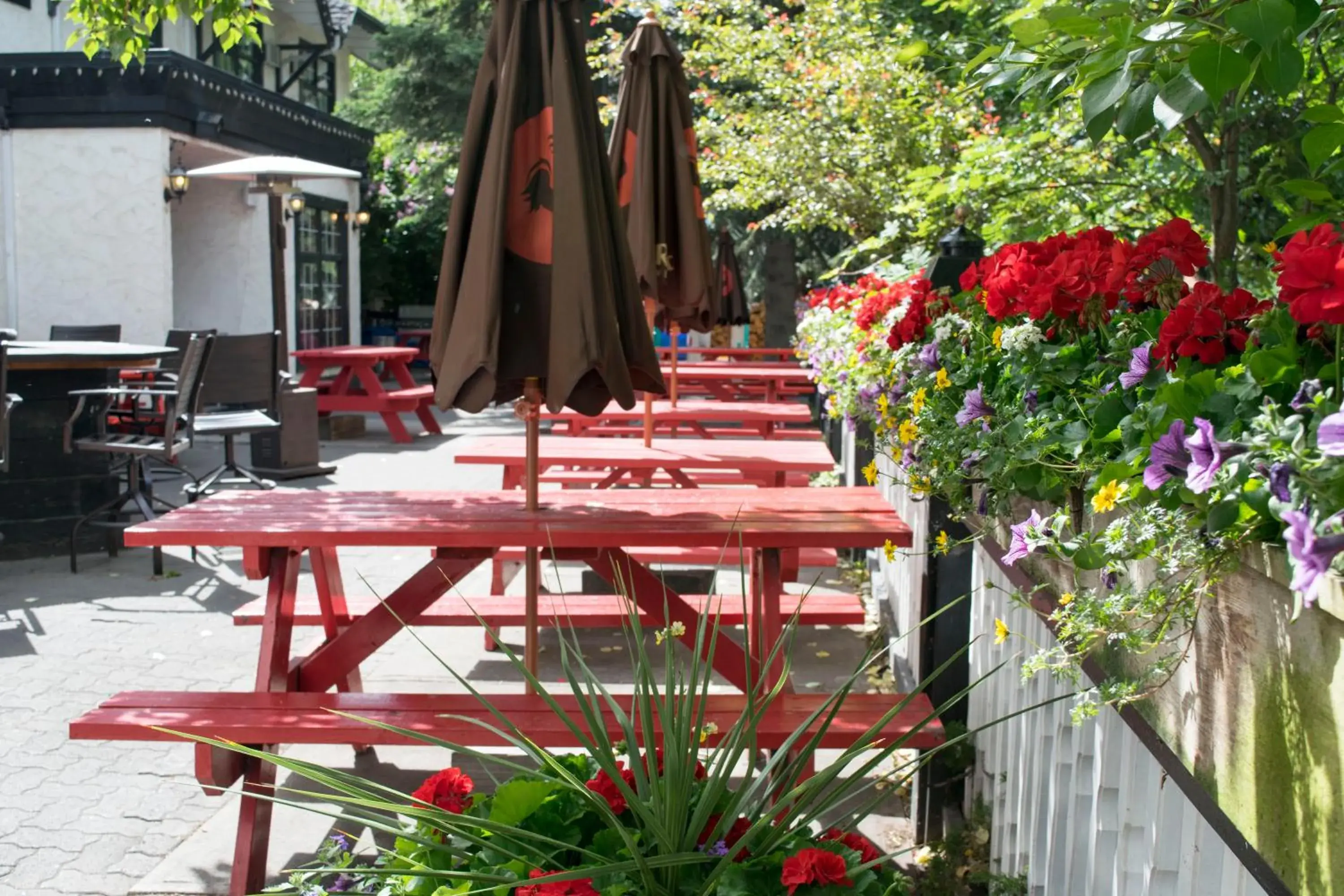 Property building in The Georgetown Inn Property building in The Georgetown Inn