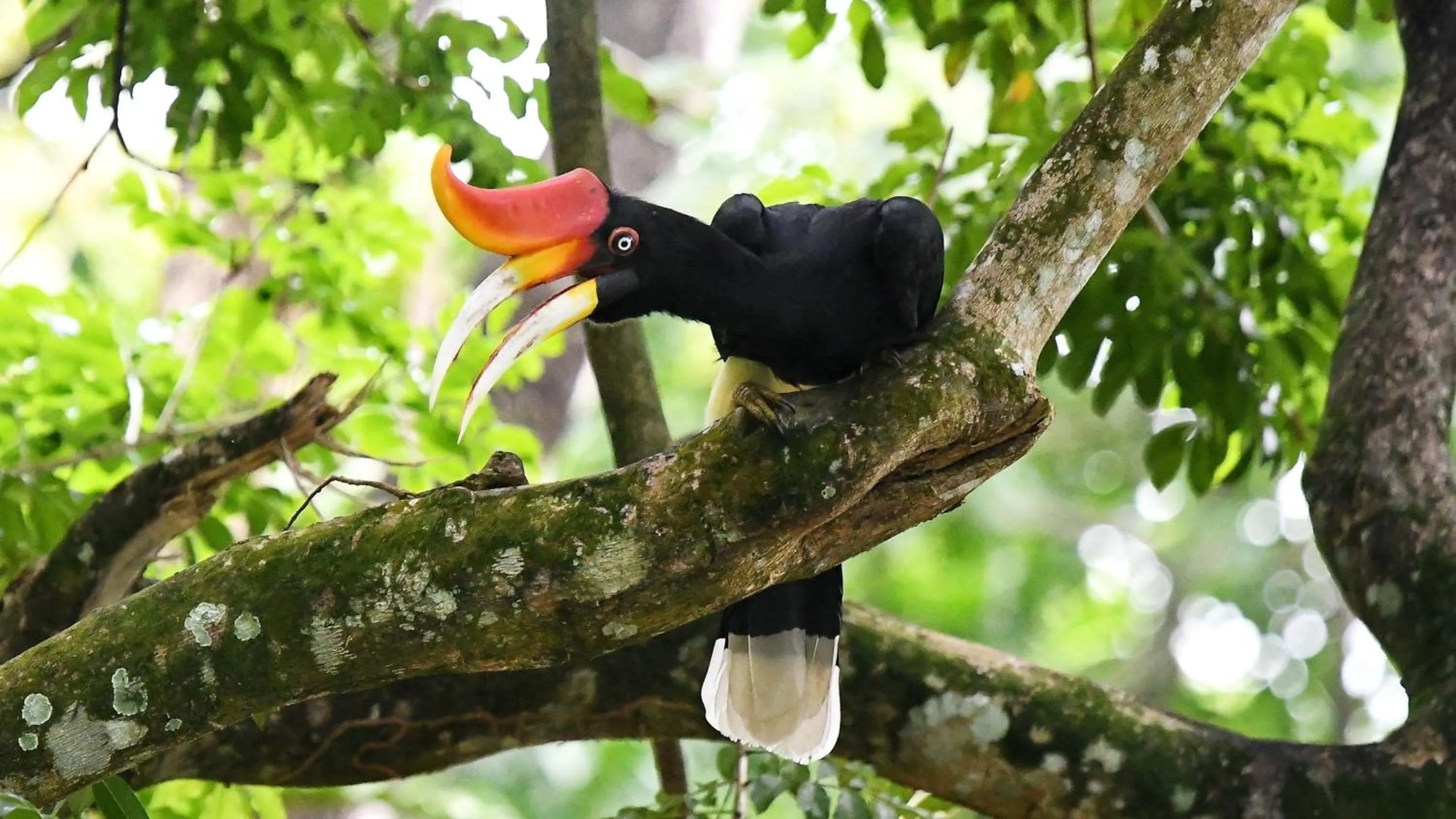Nearby landmark in InterContinental Kuala Lumpur by IHG