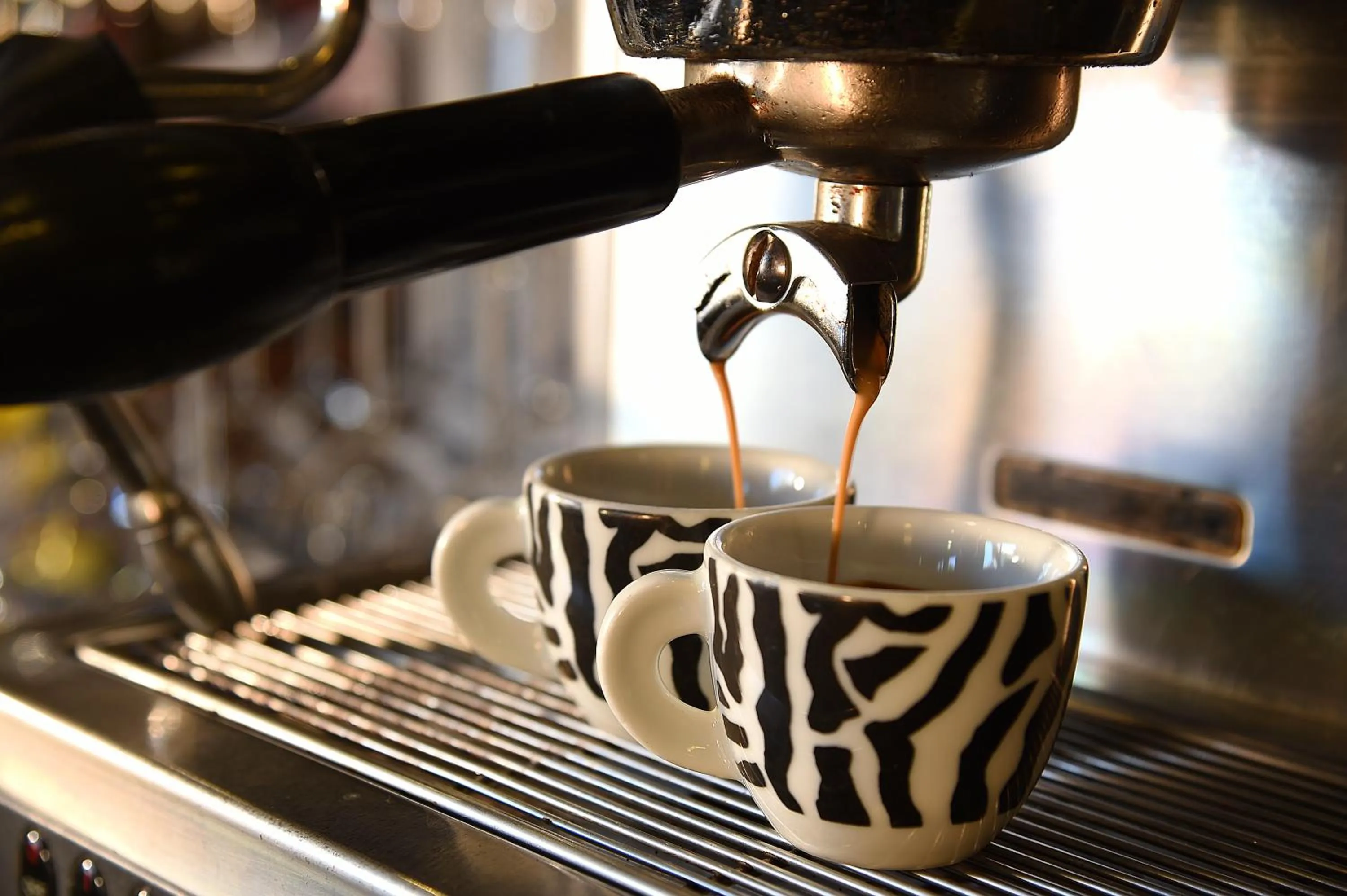 Day in Hotel Rioverde