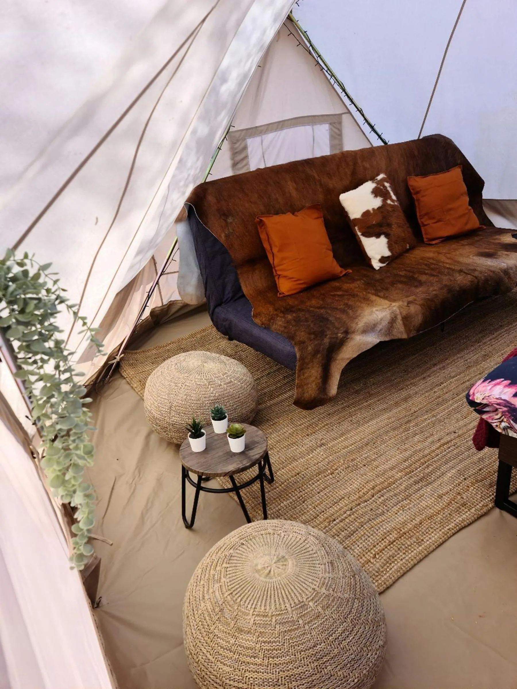 Seating area in Ooraminna Homestead