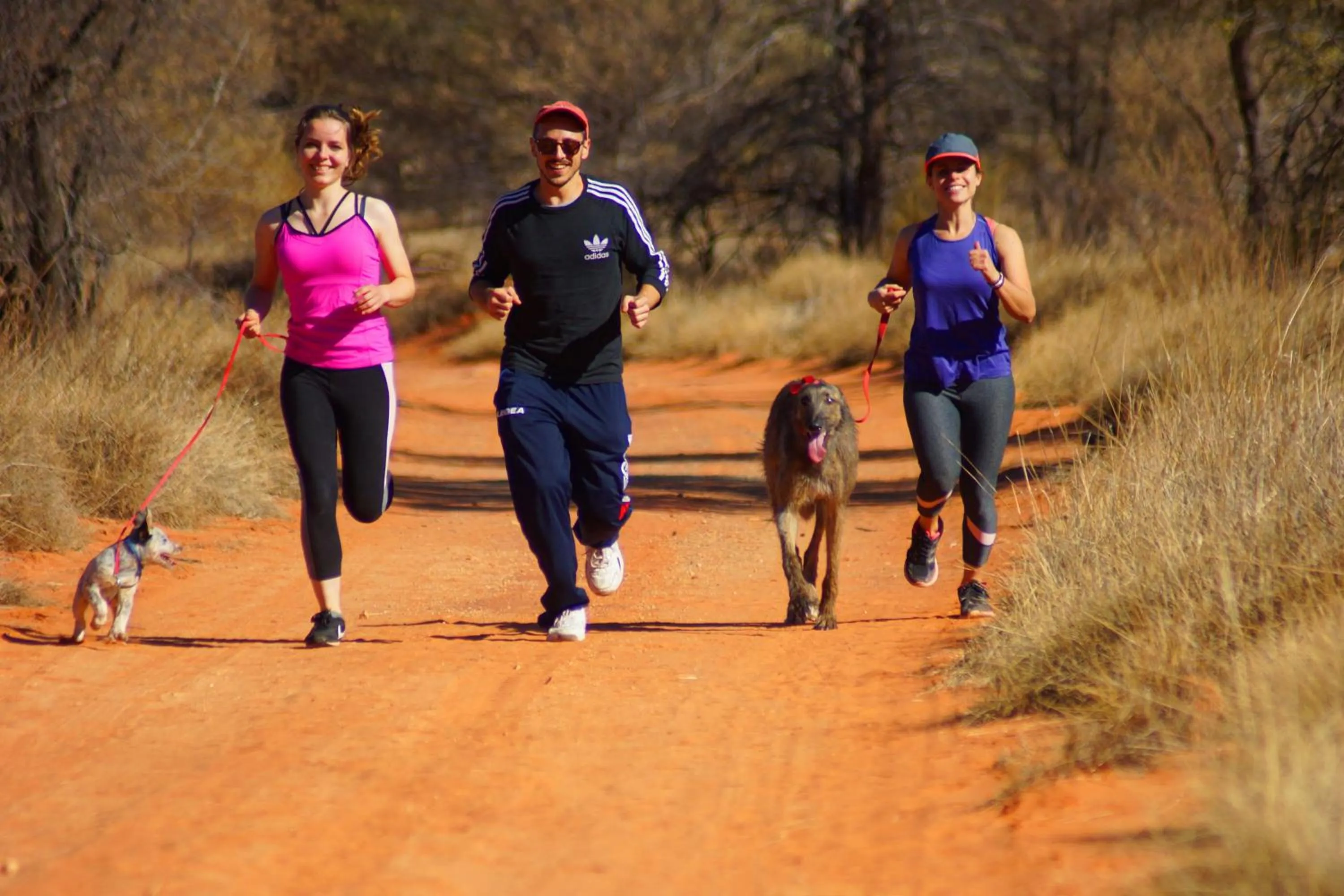 Fitness centre/facilities in Ooraminna Homestead