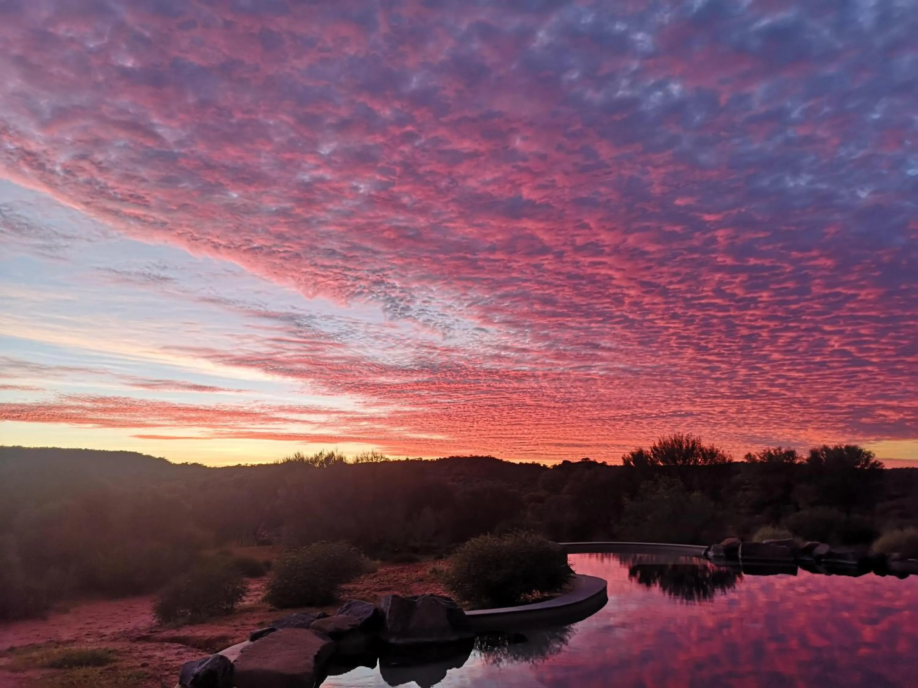 Swimming pool in Ooraminna Homestead