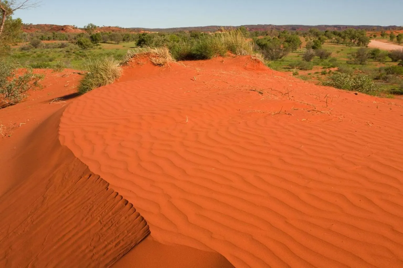 Natural landscape in Ooraminna Homestead