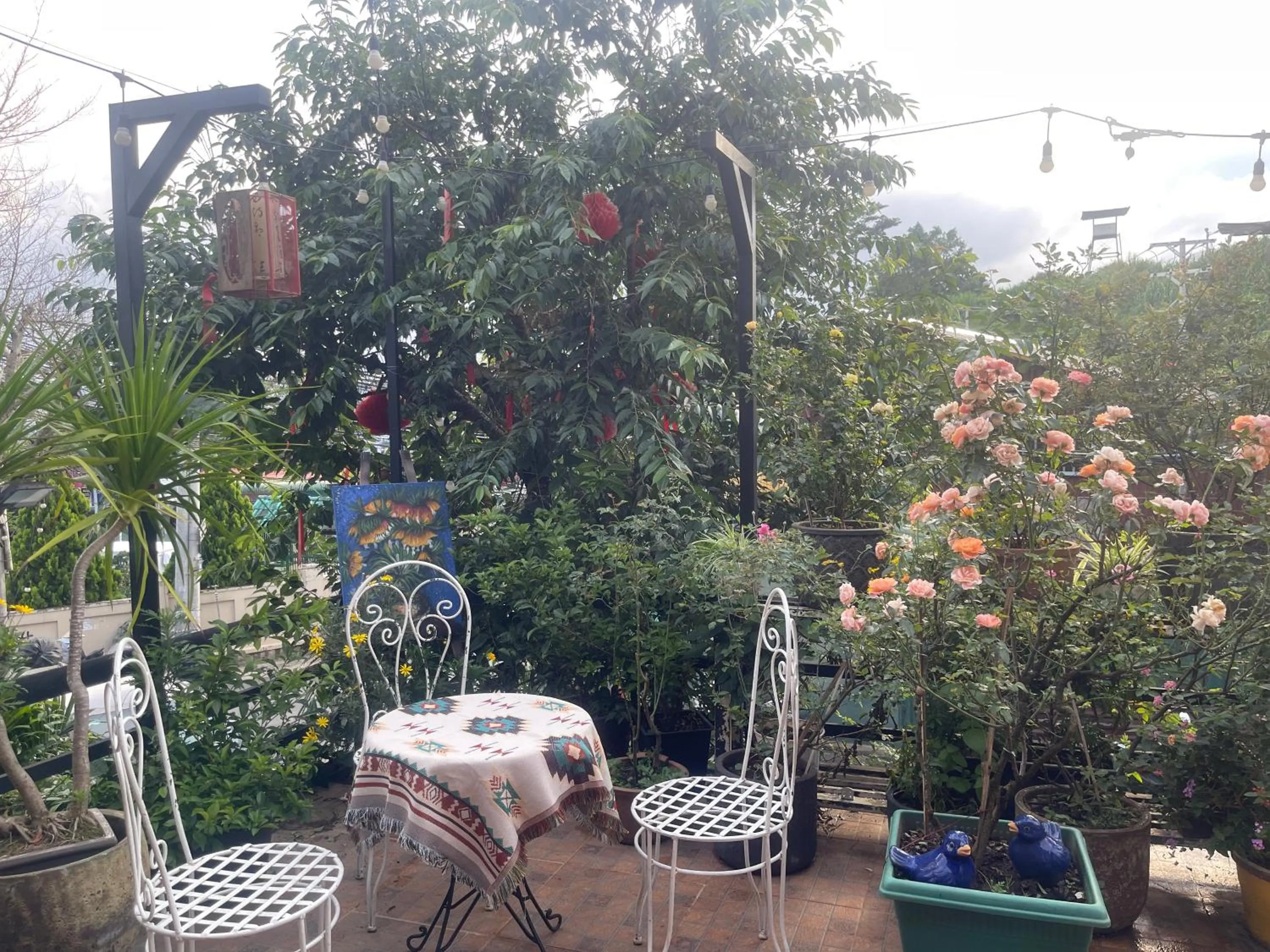 Redhouse Dalat Hotel