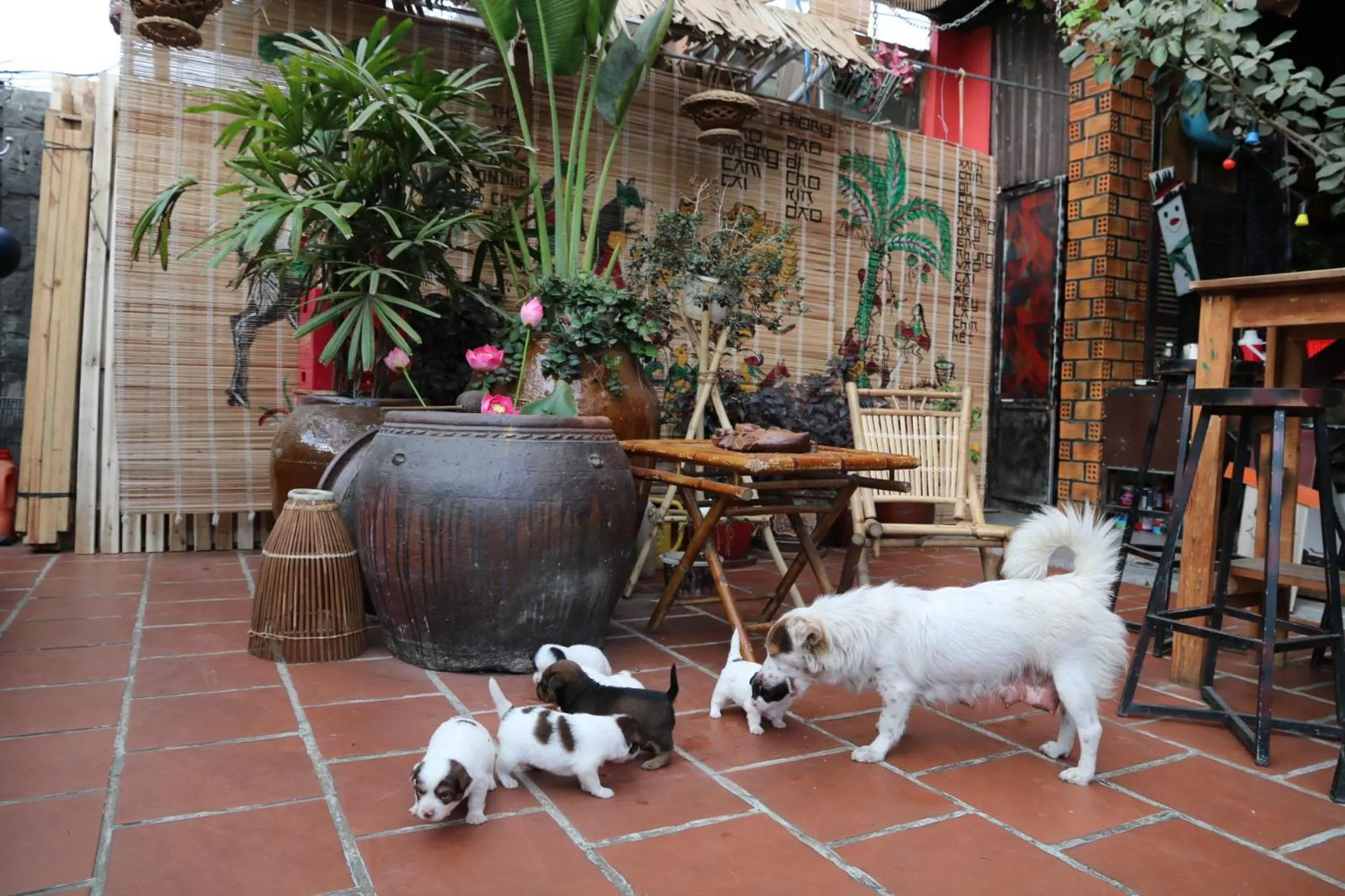 Redhouse Dalat Hotel