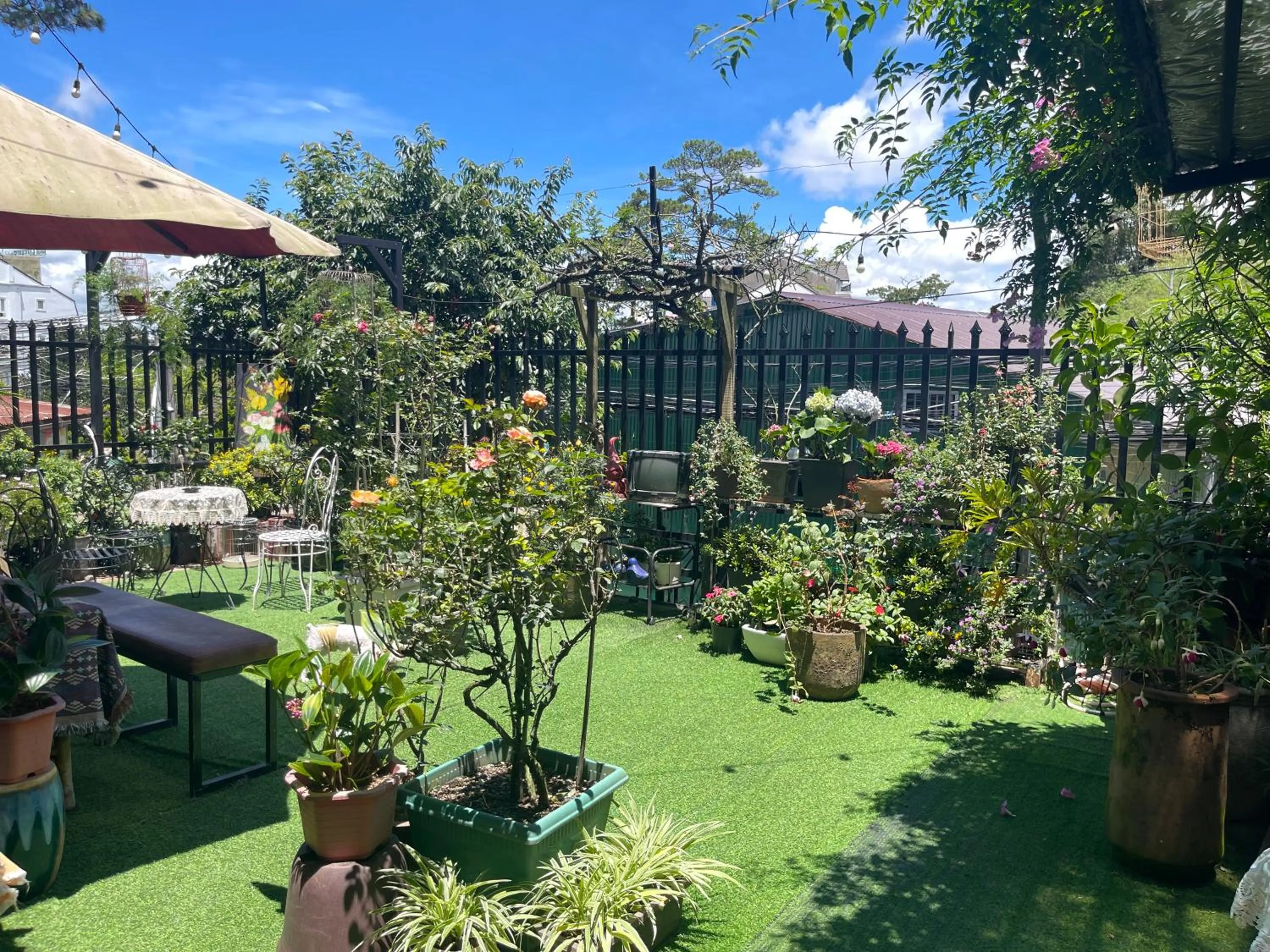 Redhouse Dalat Hotel