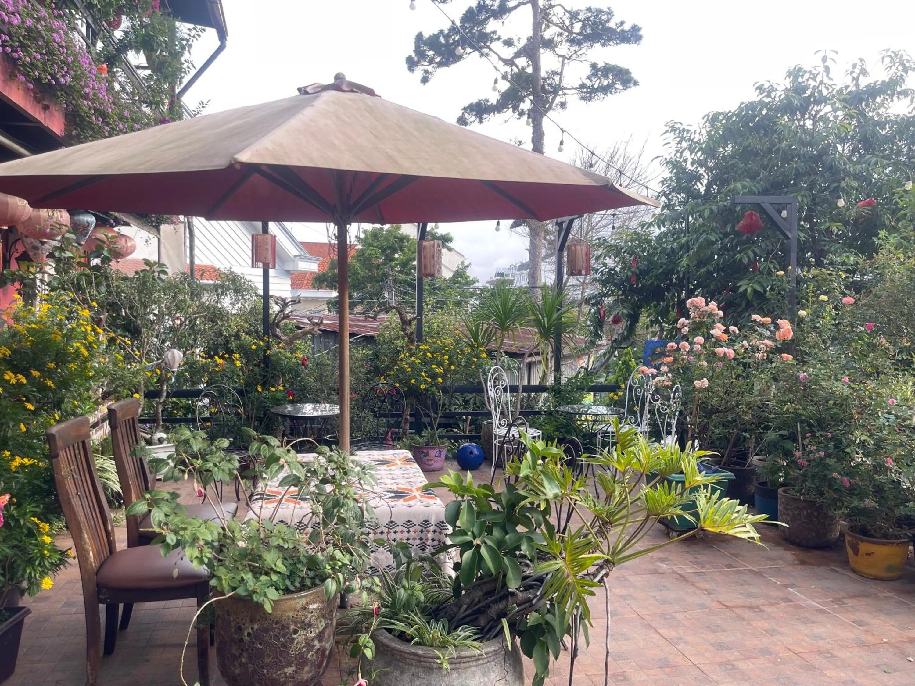 Redhouse Dalat Hotel