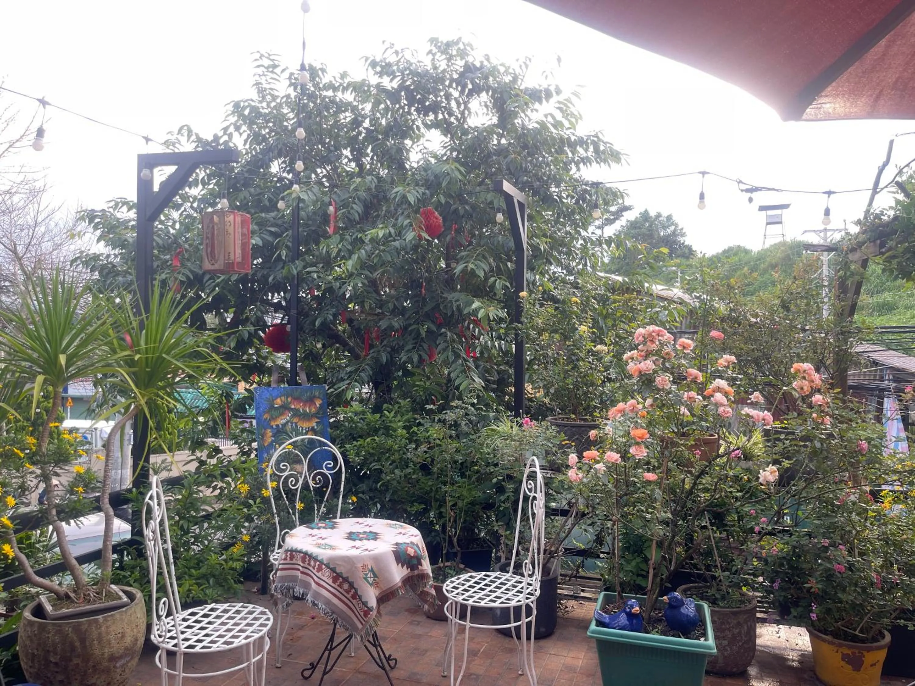 Redhouse Dalat Hotel