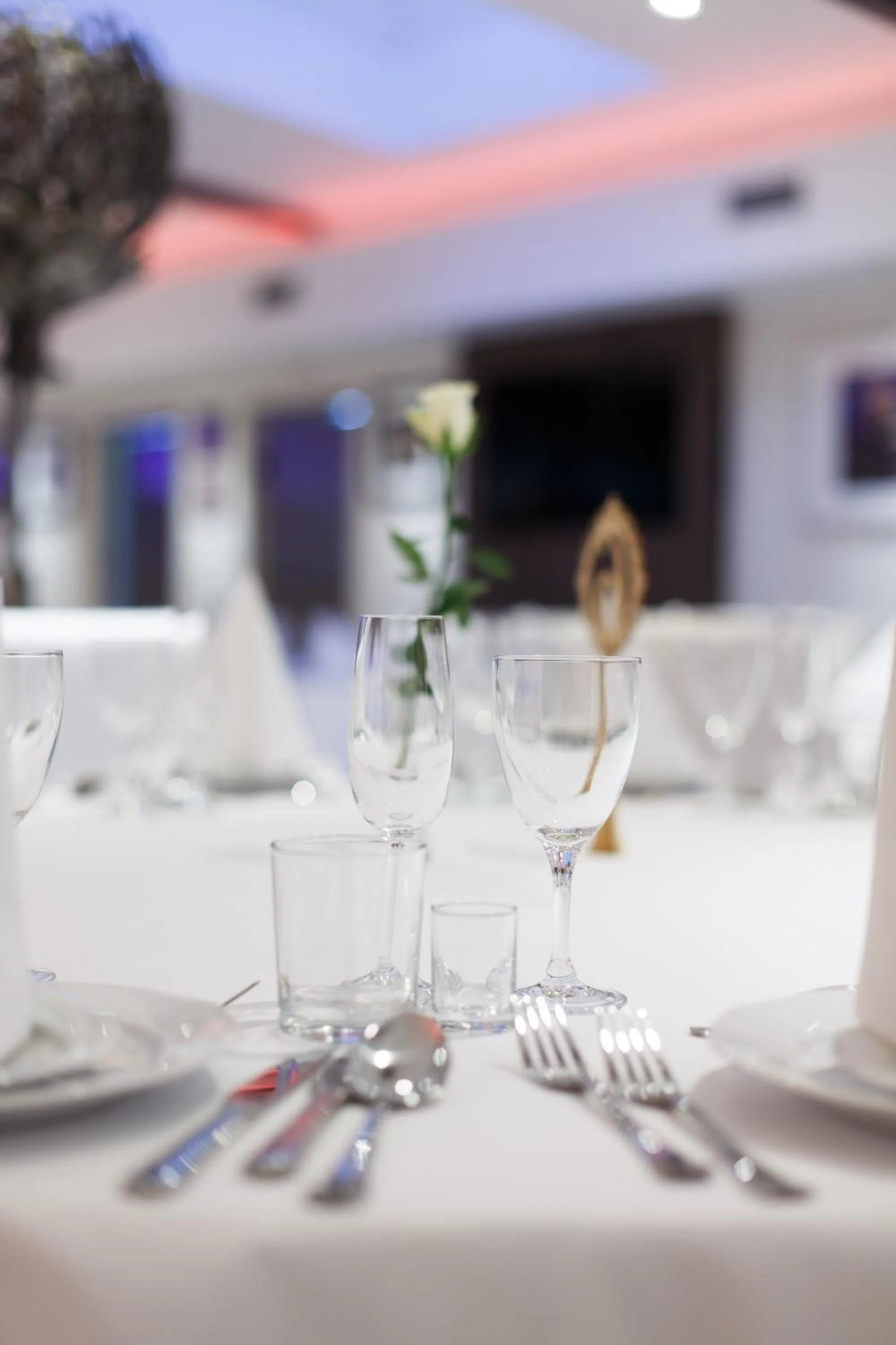 Restaurant/places to eat in Hotel Kuźnia