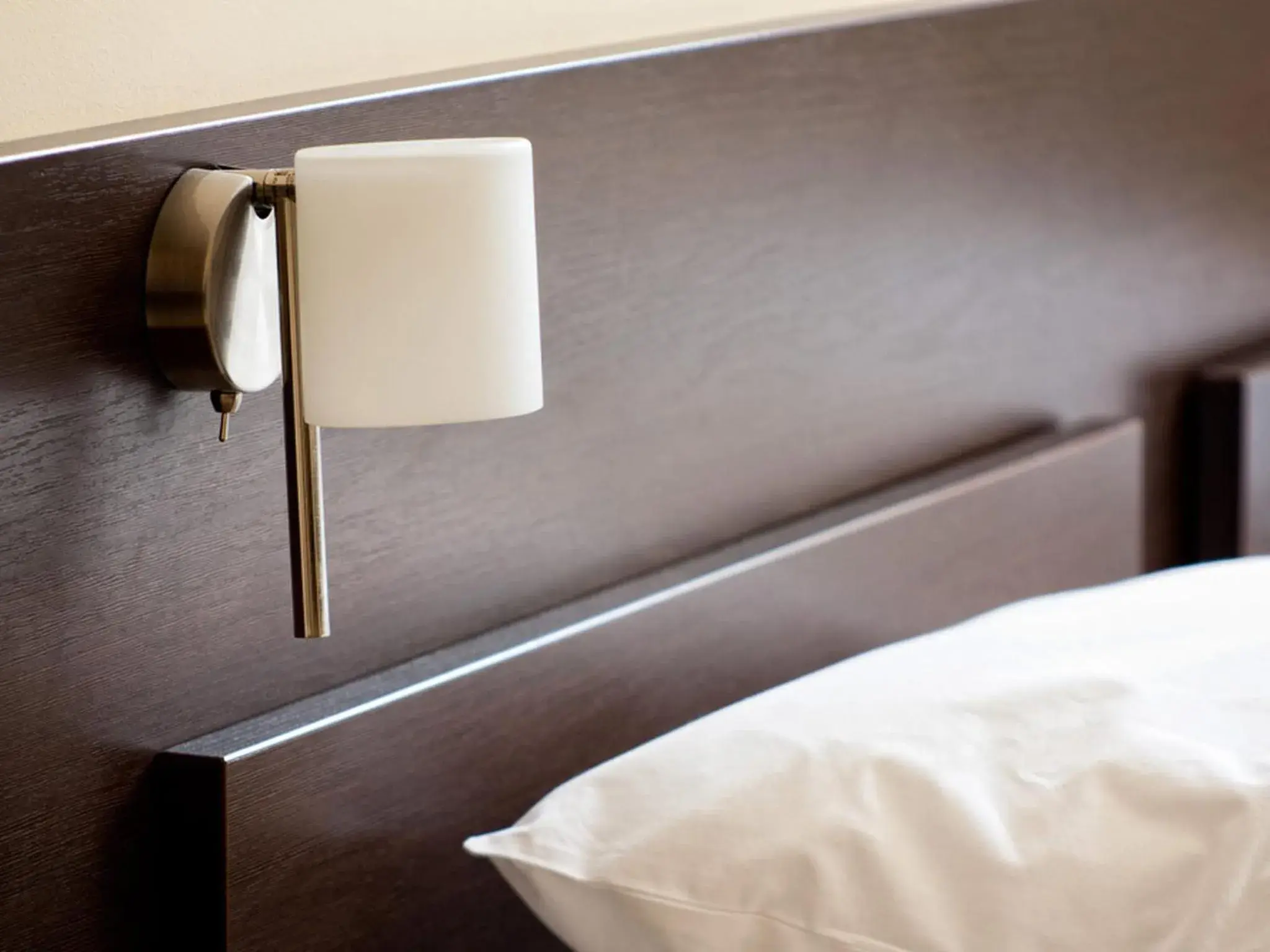 Single Room in Hotel Kuźnia Single Room in Hotel Kuźnia