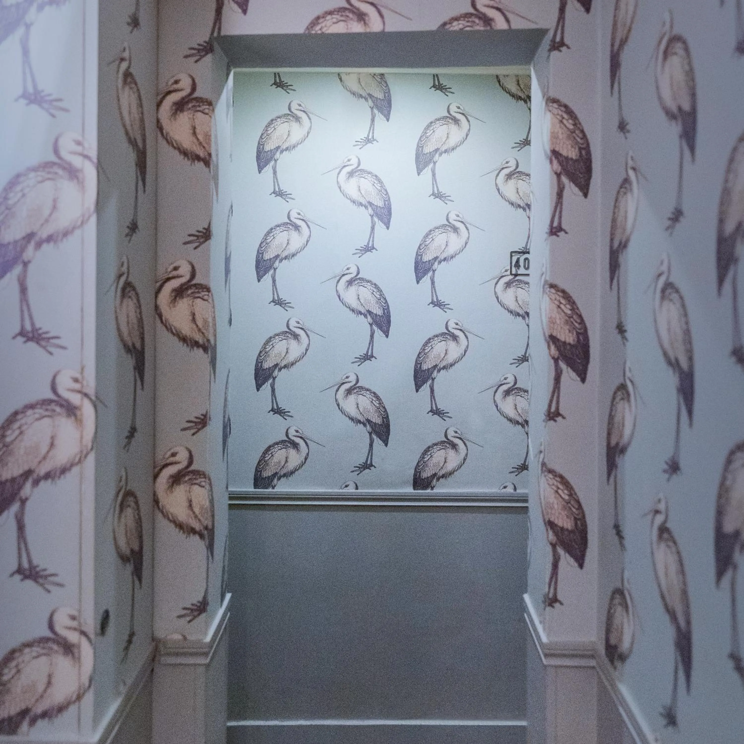 Area and facilities in Hotel Paradis