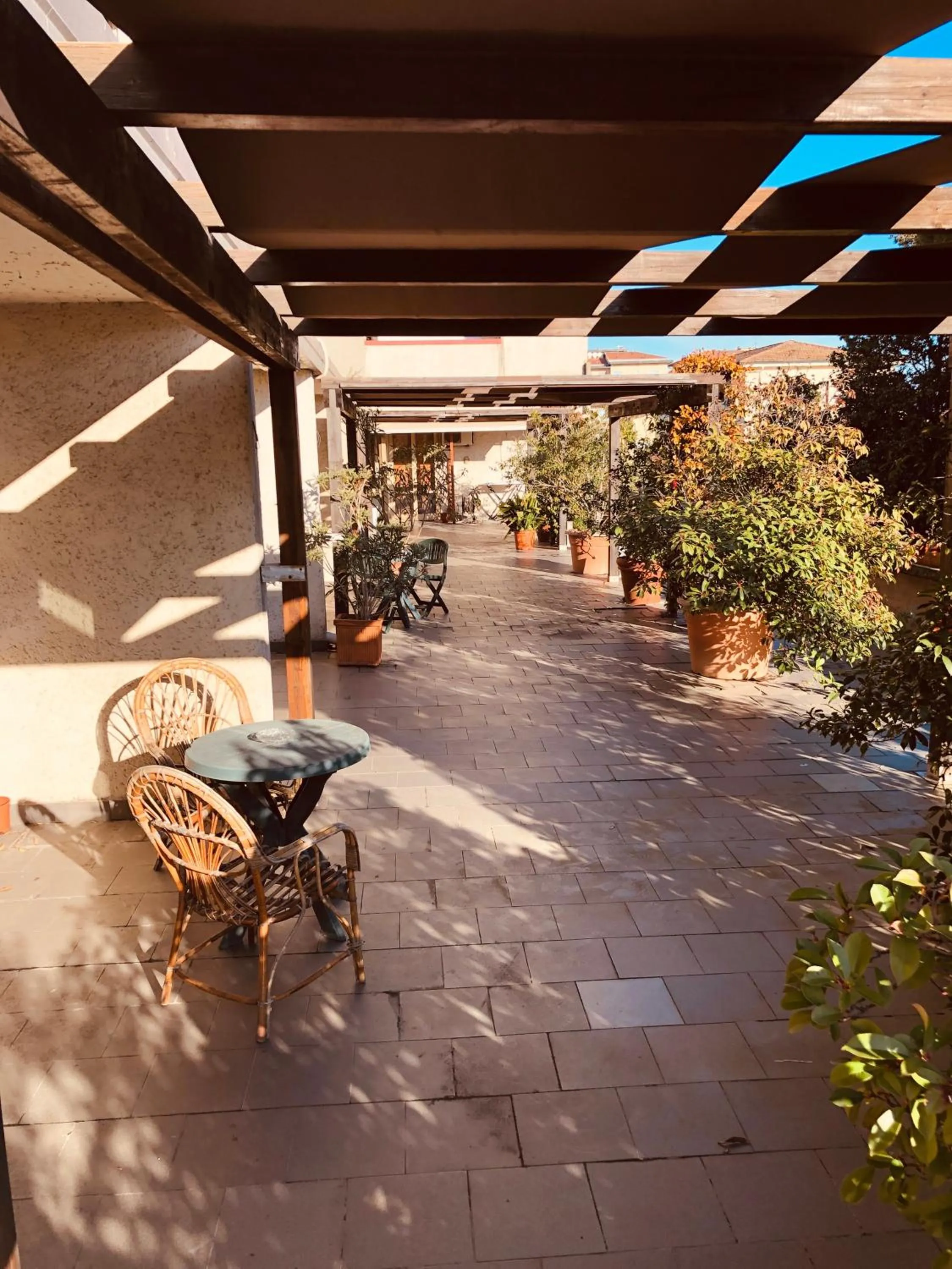 Balcony/Terrace in Hotel Delfina