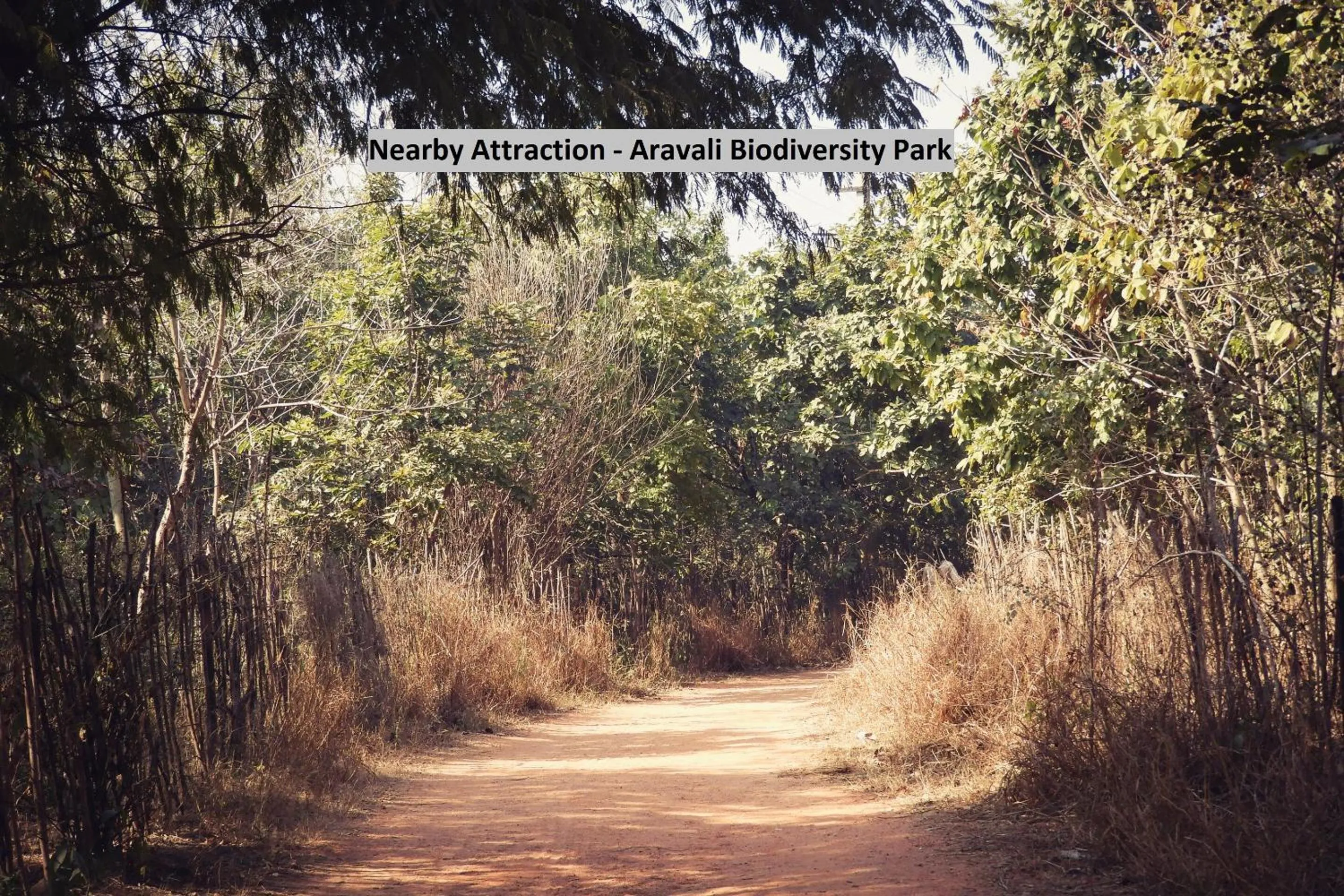 Facade/entrance in Hotel O Vagmi Residency