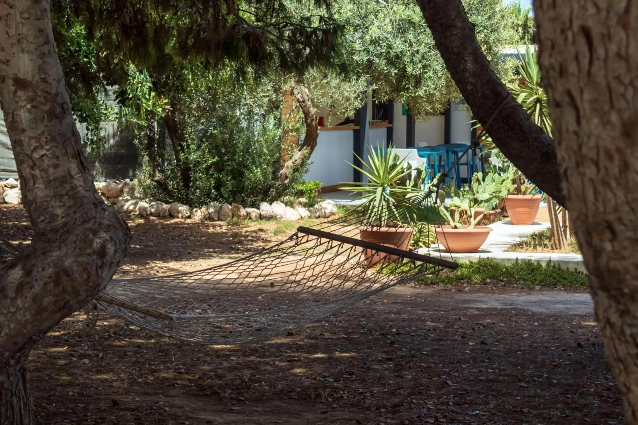 Garden in bolinajazz