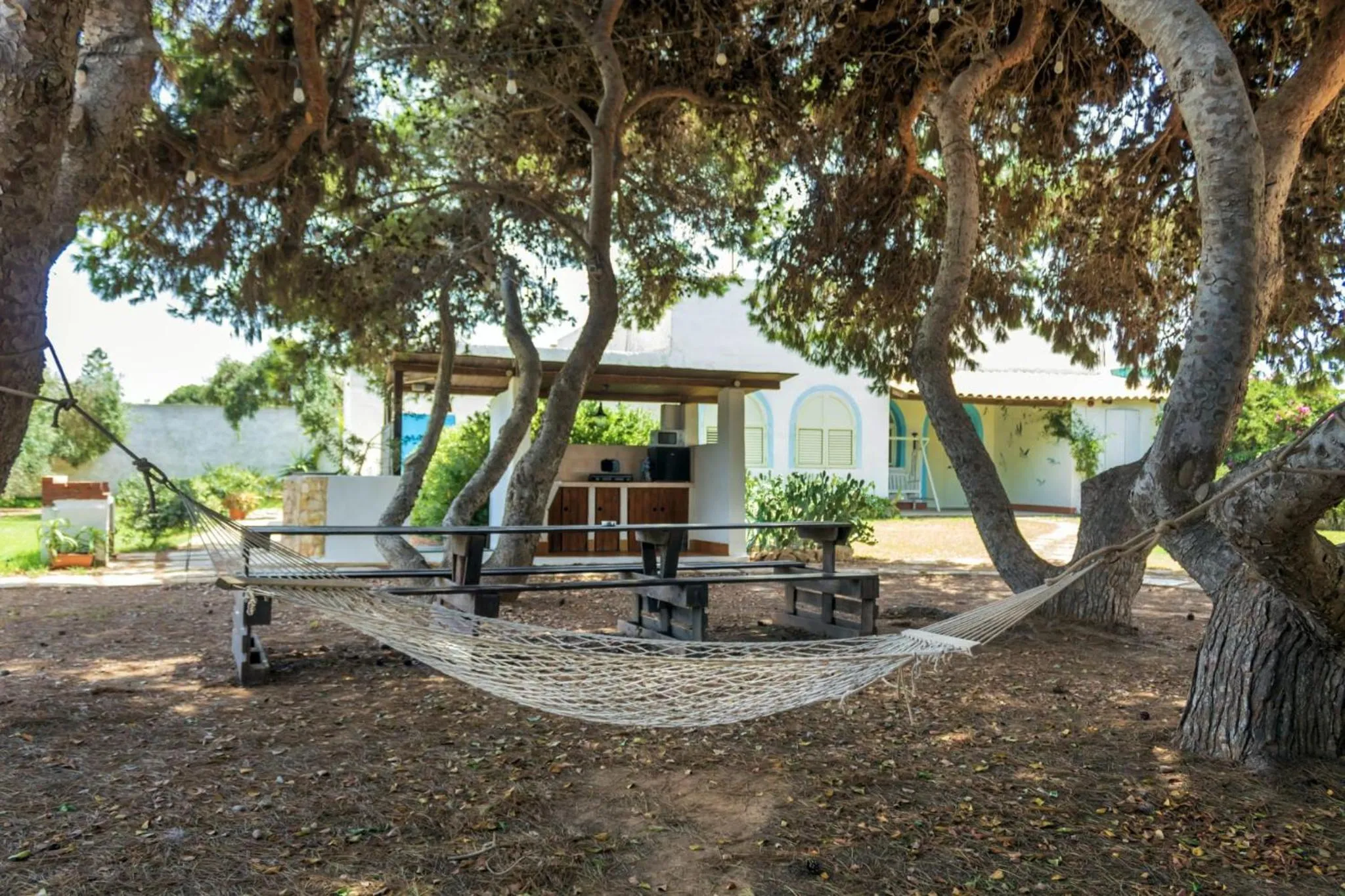 Garden in bolinajazz