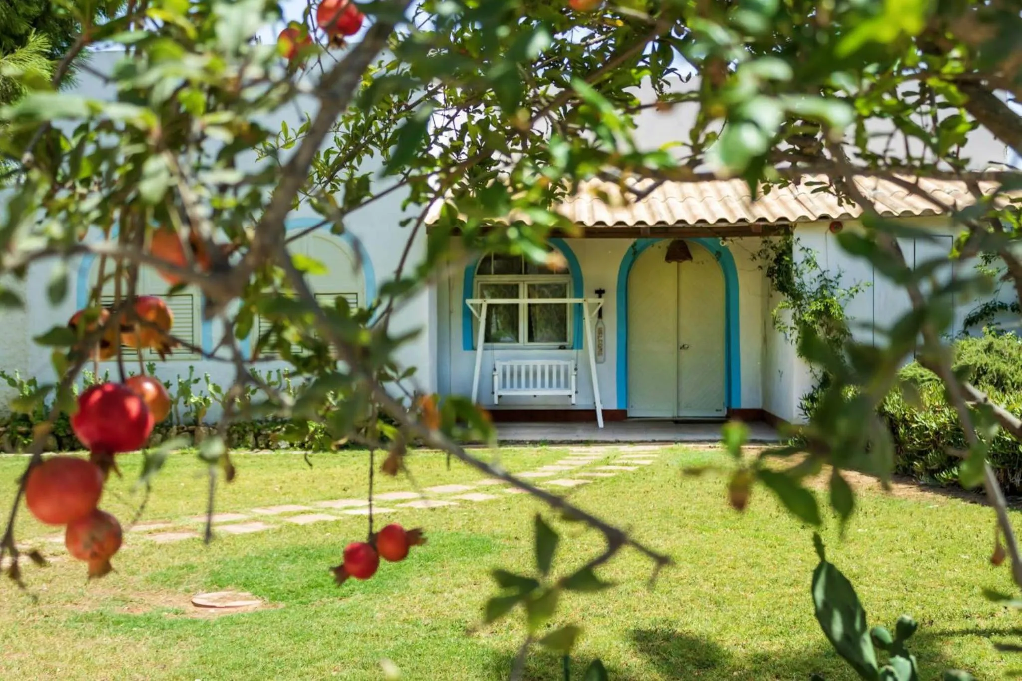 Property building in bolinajazz