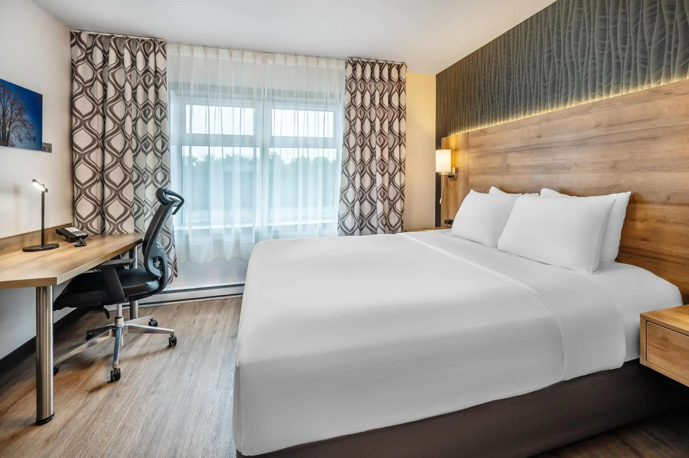 Bedroom, Bed in Quality Suites Bedroom, Bed in Quality Suites