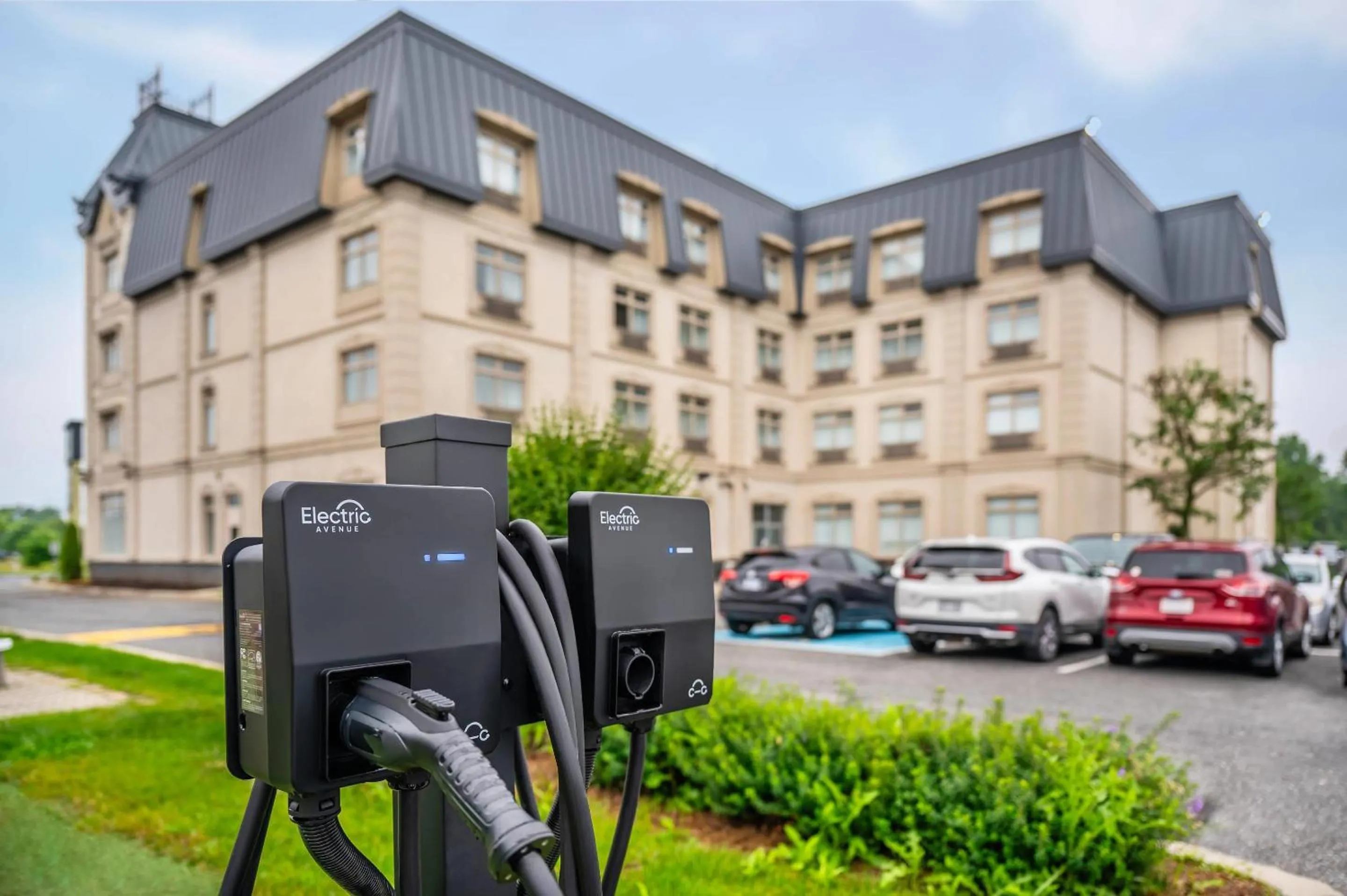 Other in Quality Suites