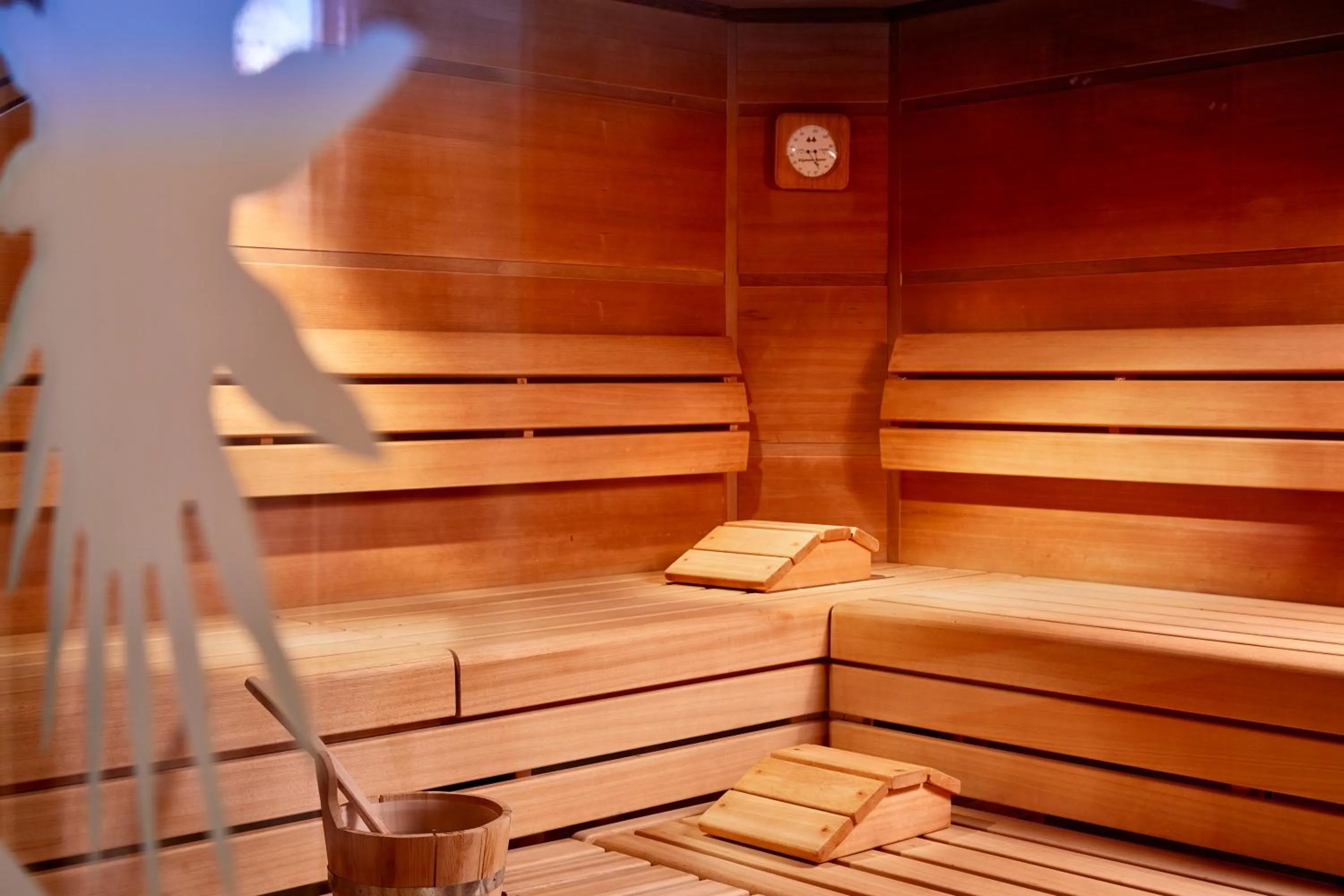 Sauna in Hotel Alpina