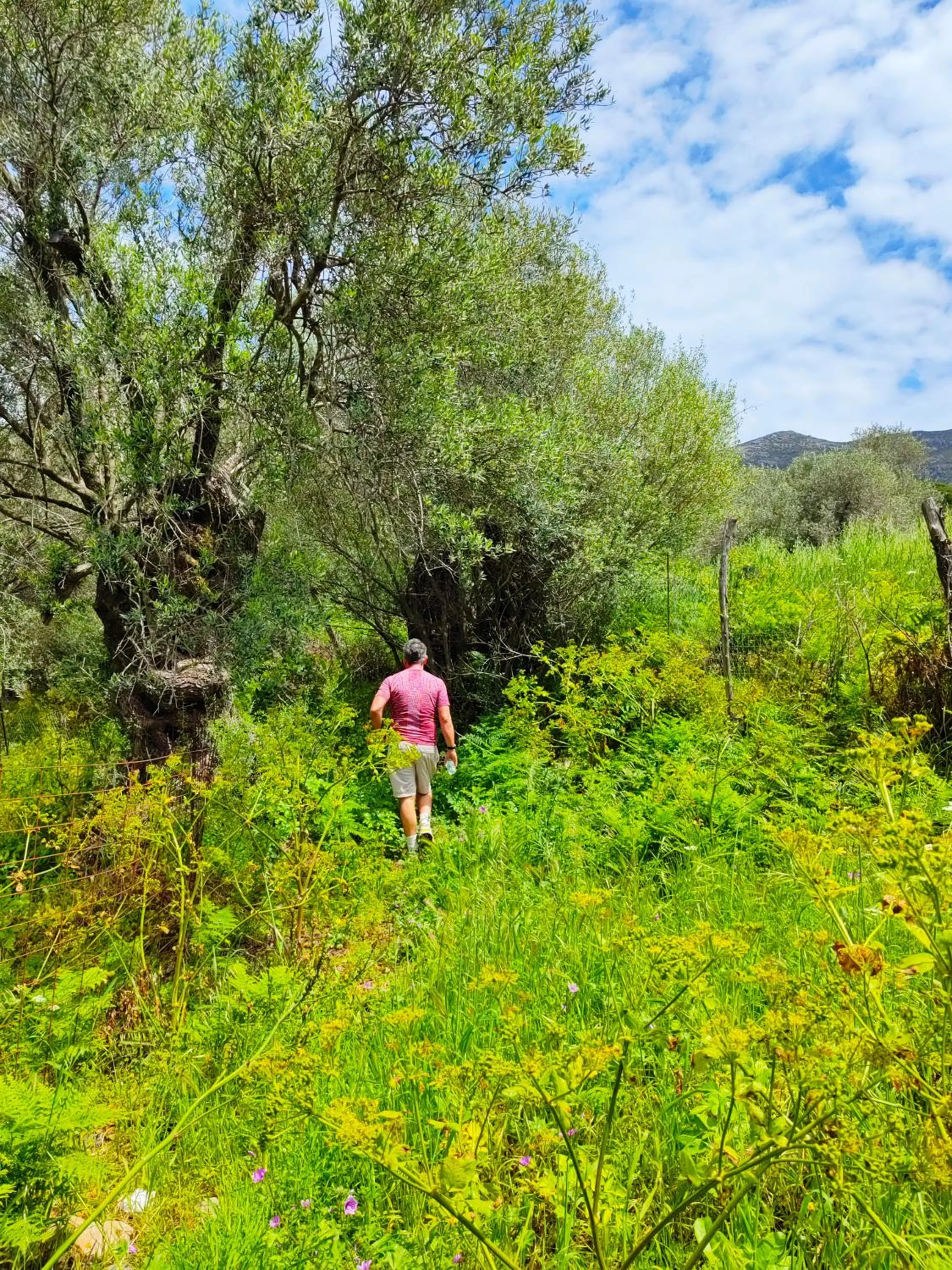 Activities in Libyan Princess