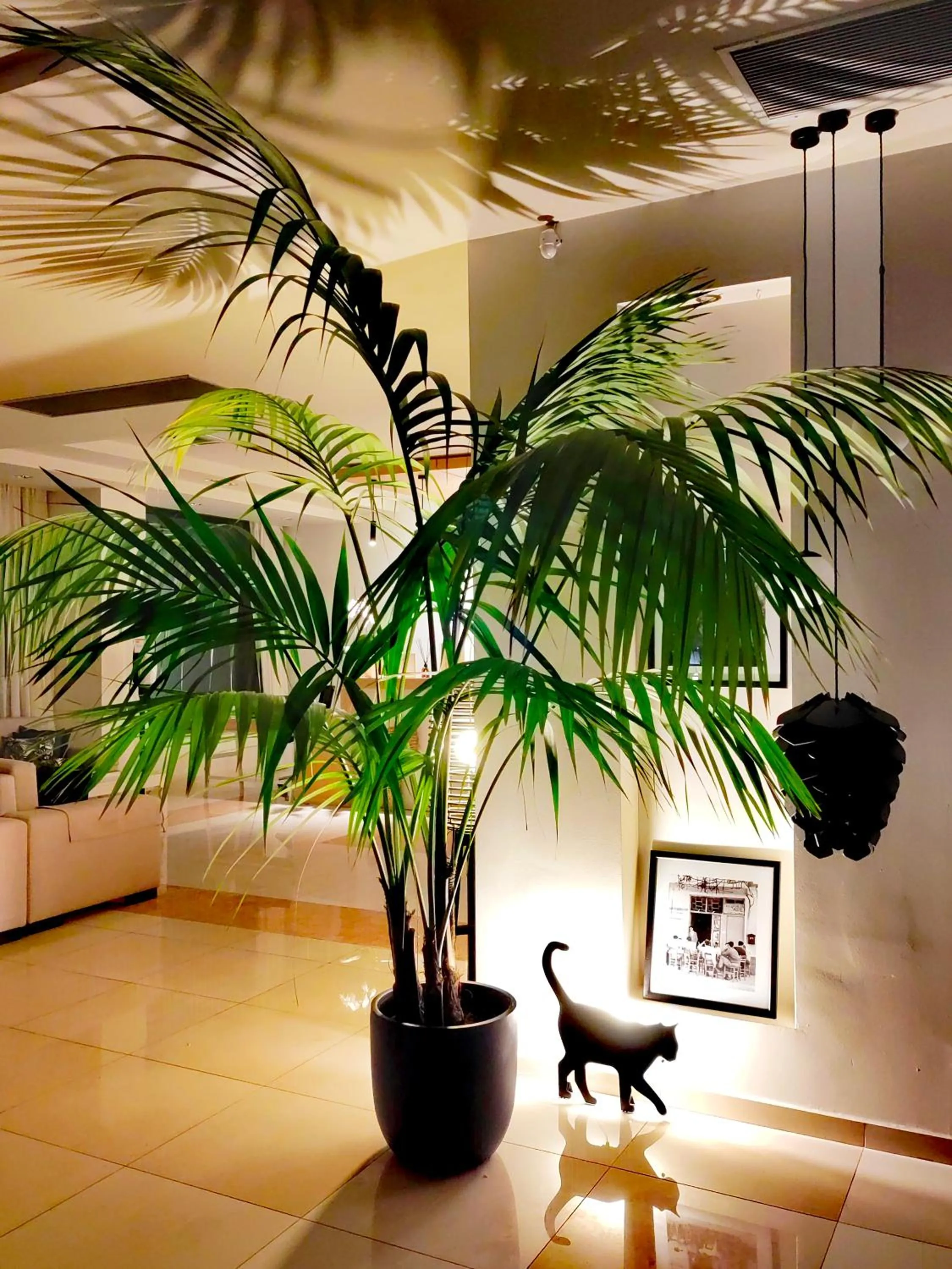 Lobby or reception in Libyan Princess