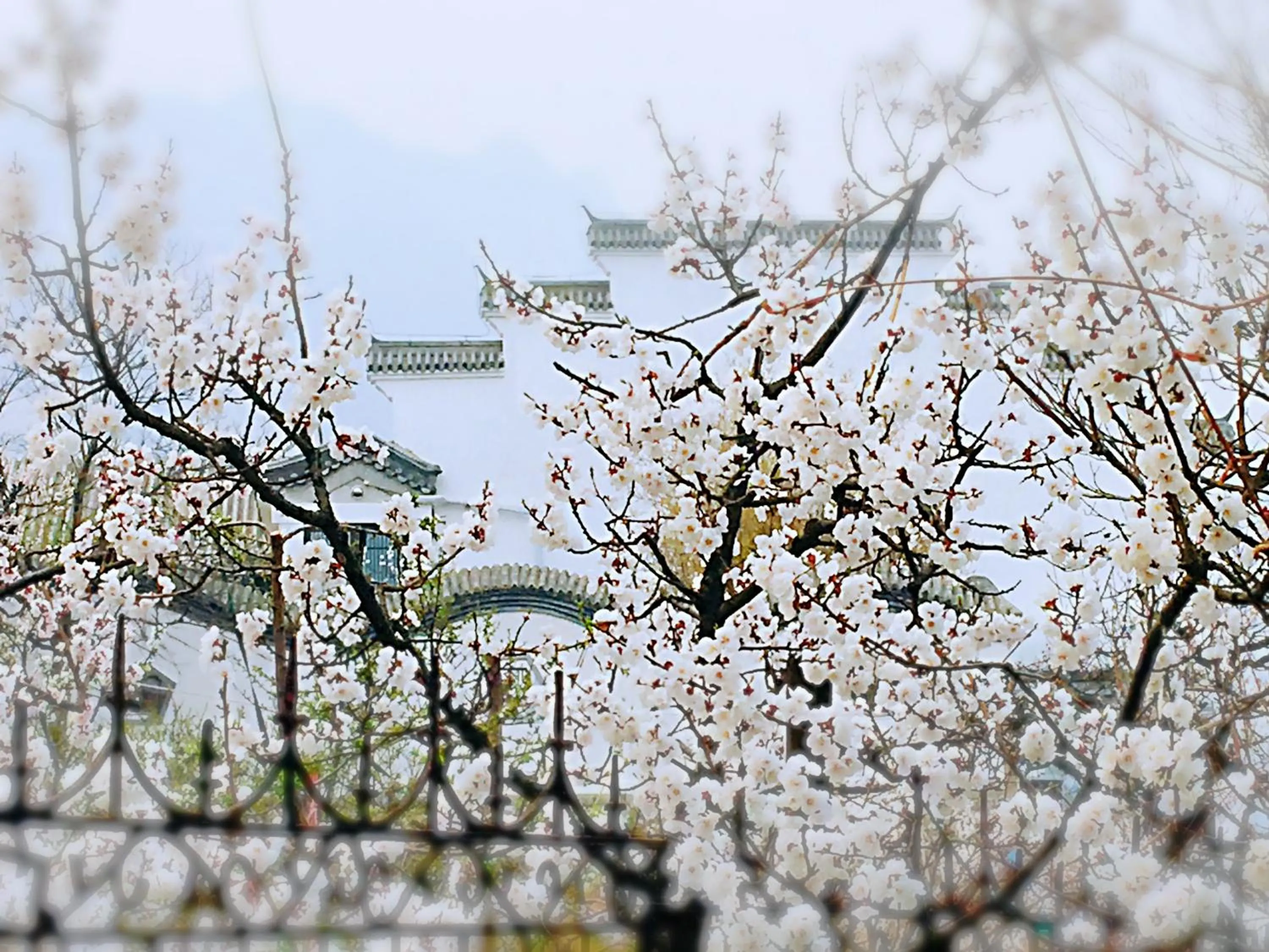 Garden view in Guan Sam Hotel