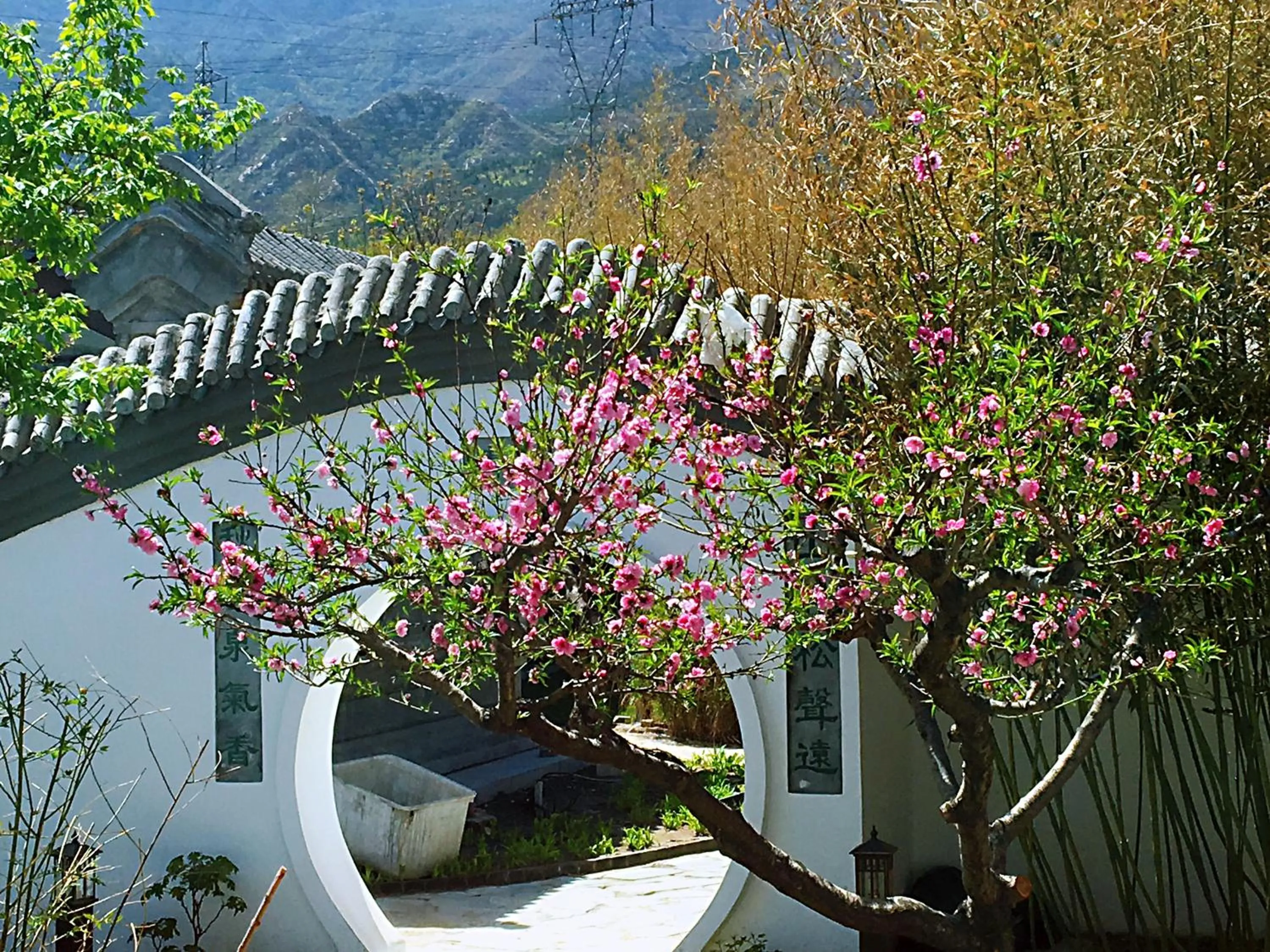 Garden in Guan Sam Hotel