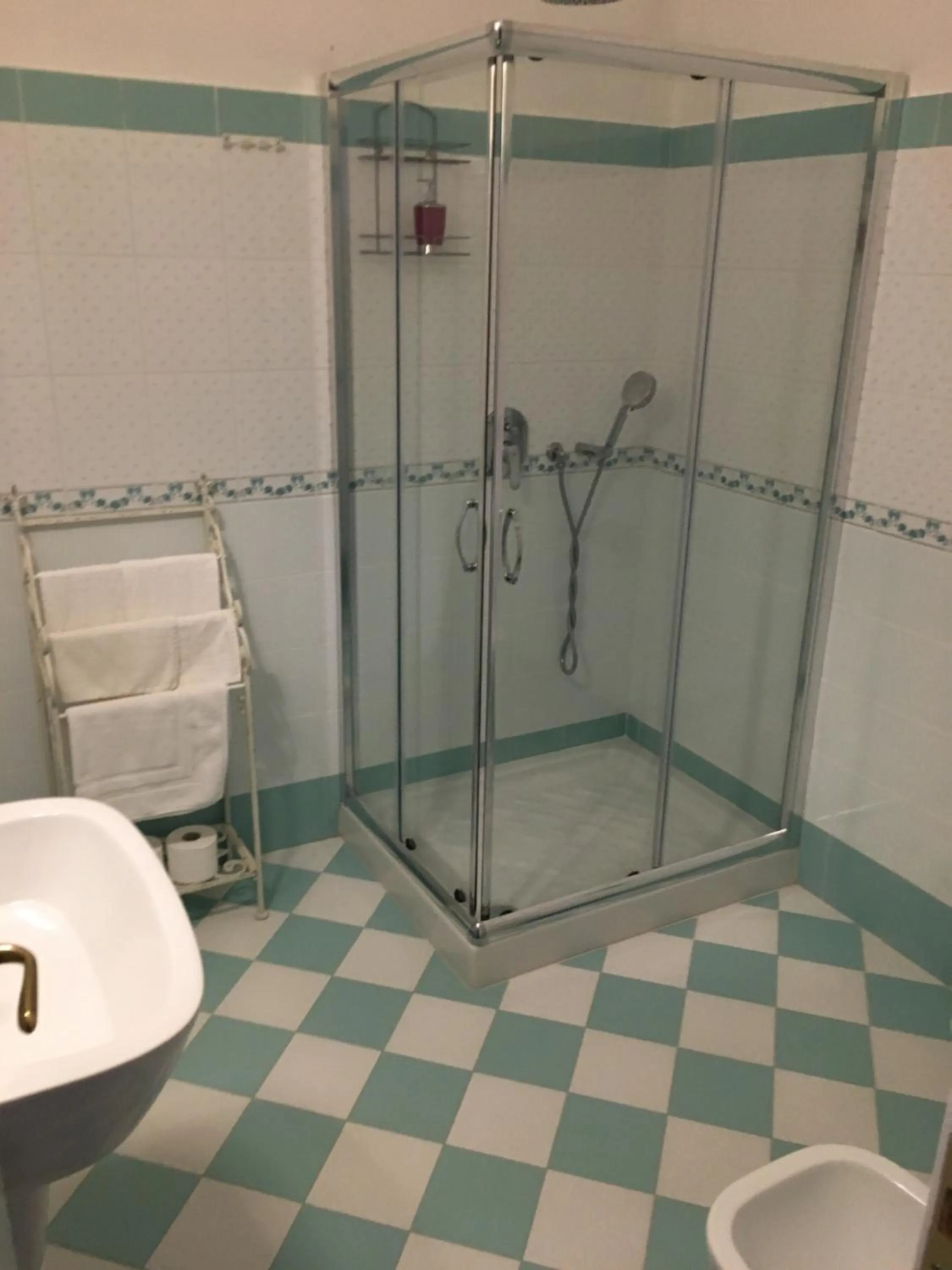 Shower in City Garden Guest House