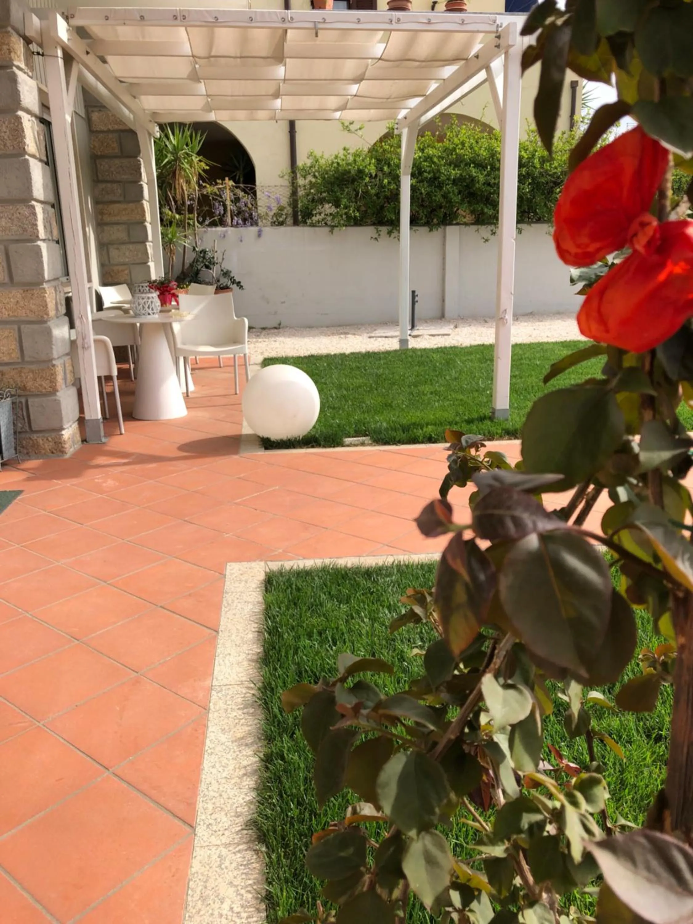 Garden in City Garden Guest House