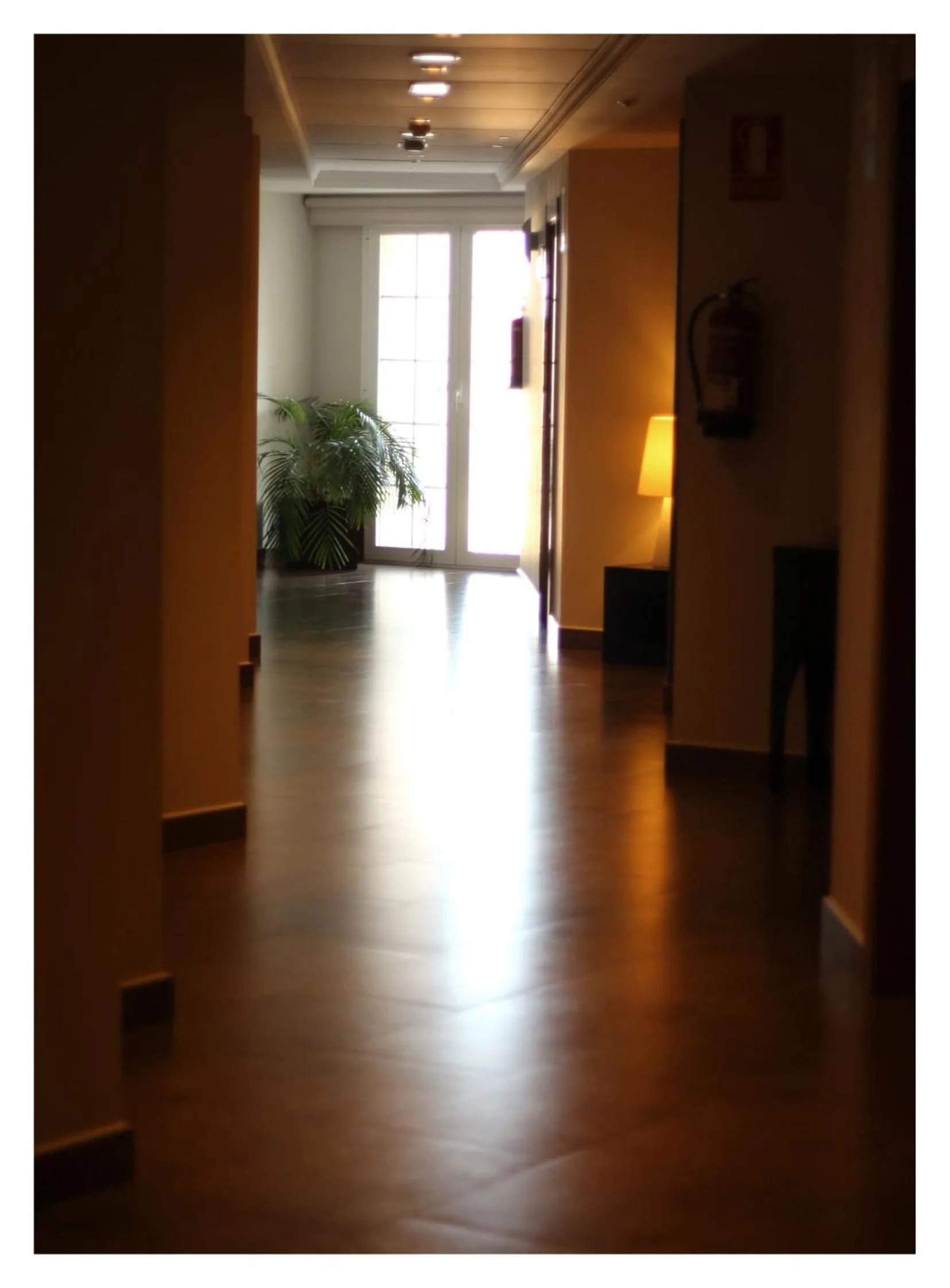 Decorative detail in Hotel El Trebol