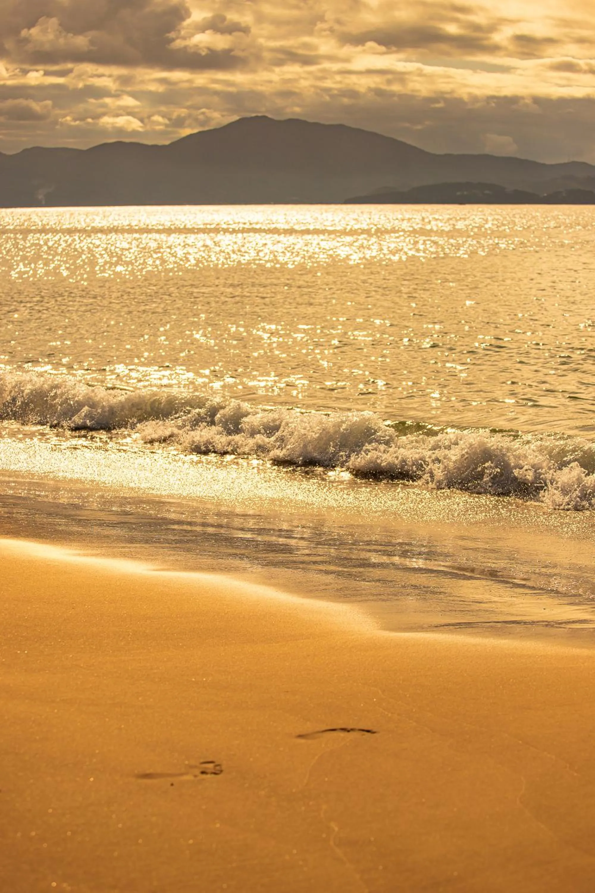Beach in Hotel Jurerê Beach Village - OFICIAL