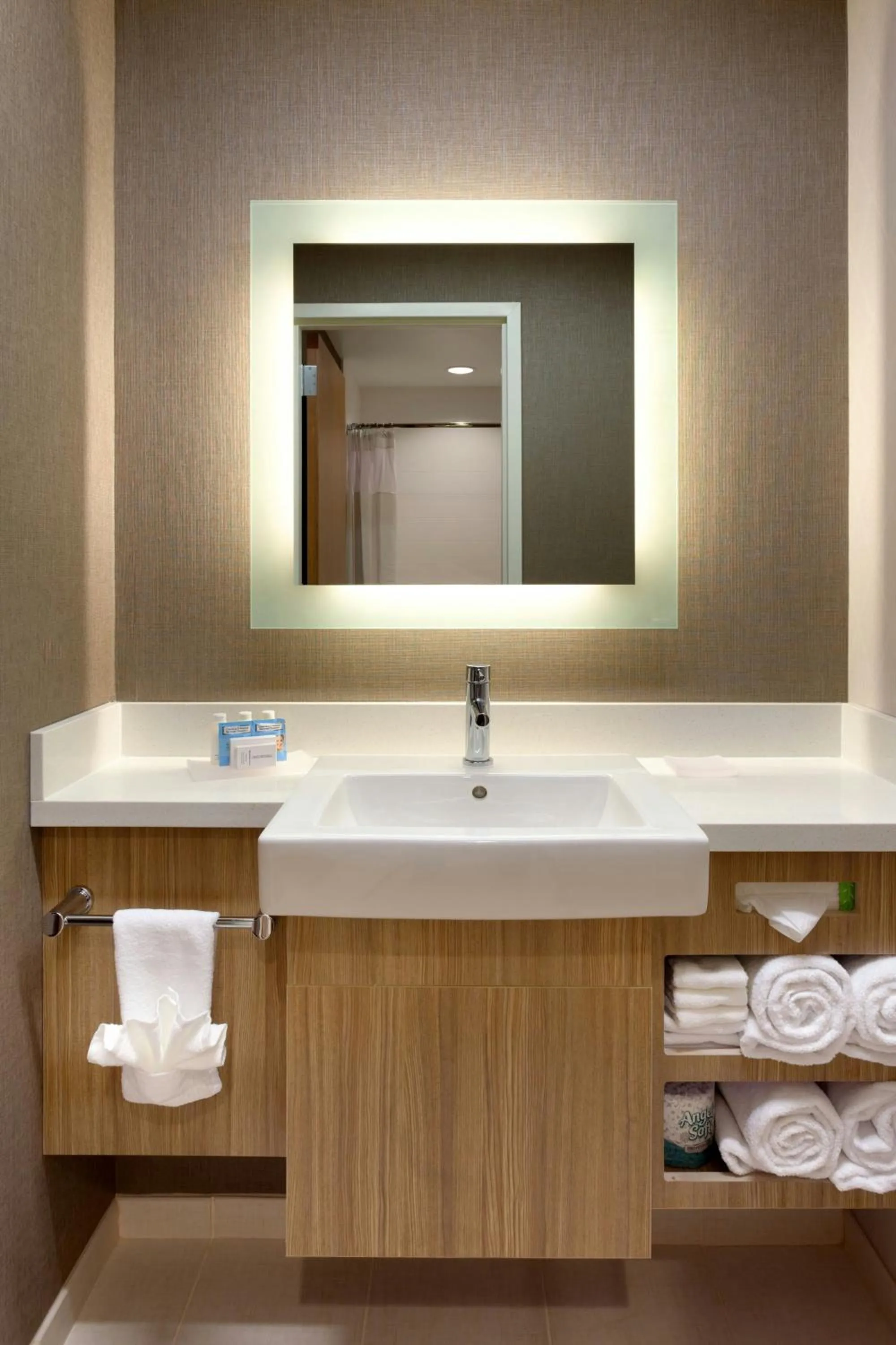 Bathroom in SpringHill Suites by Marriott Moab