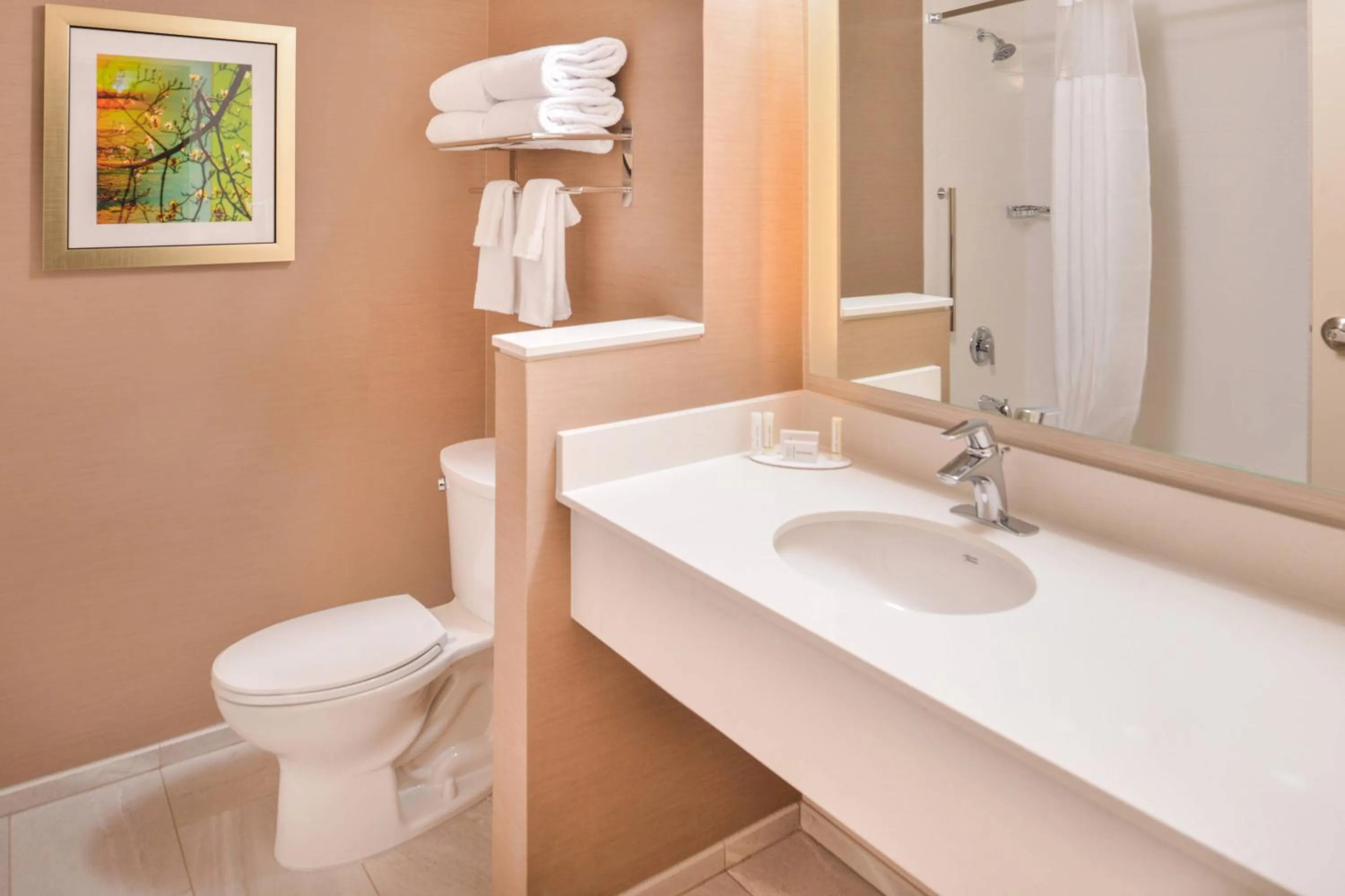 Bathroom in Fairfield Inn & Suites by Marriott Eugene East/Springfield