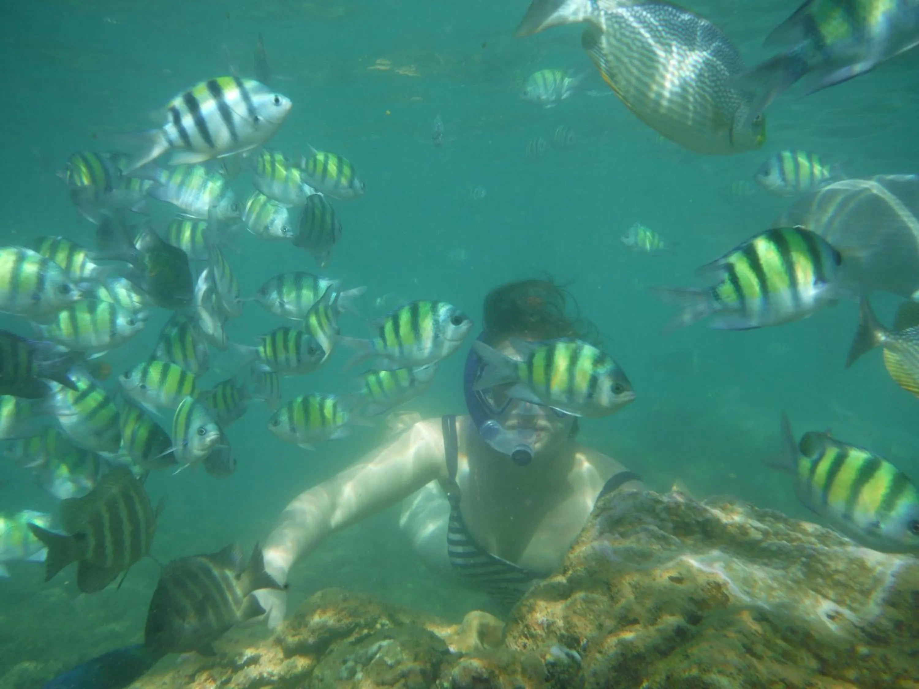Snorkeling in Nimal`s Homestay