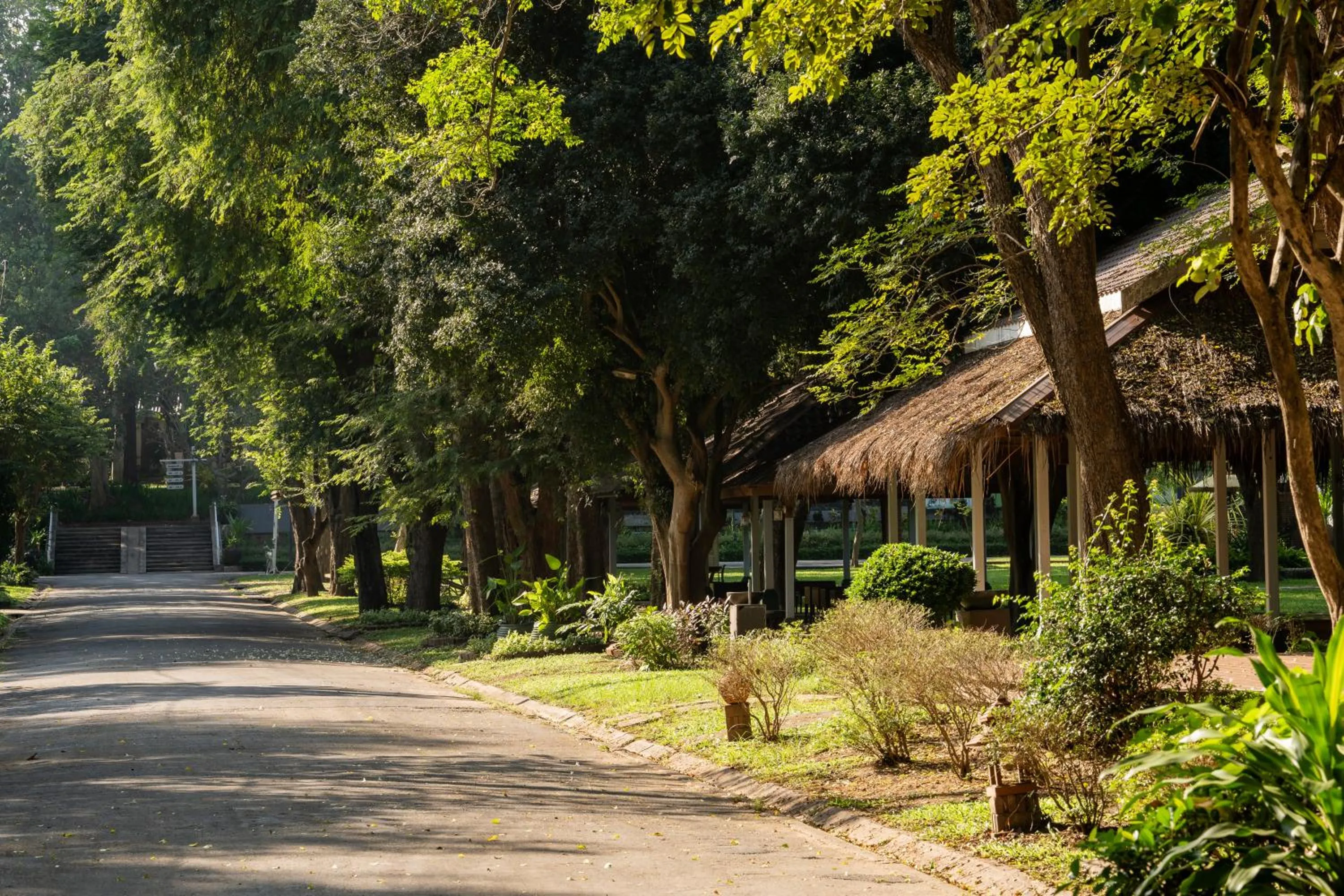 Natural landscape in Comsaed River Kwai Resort