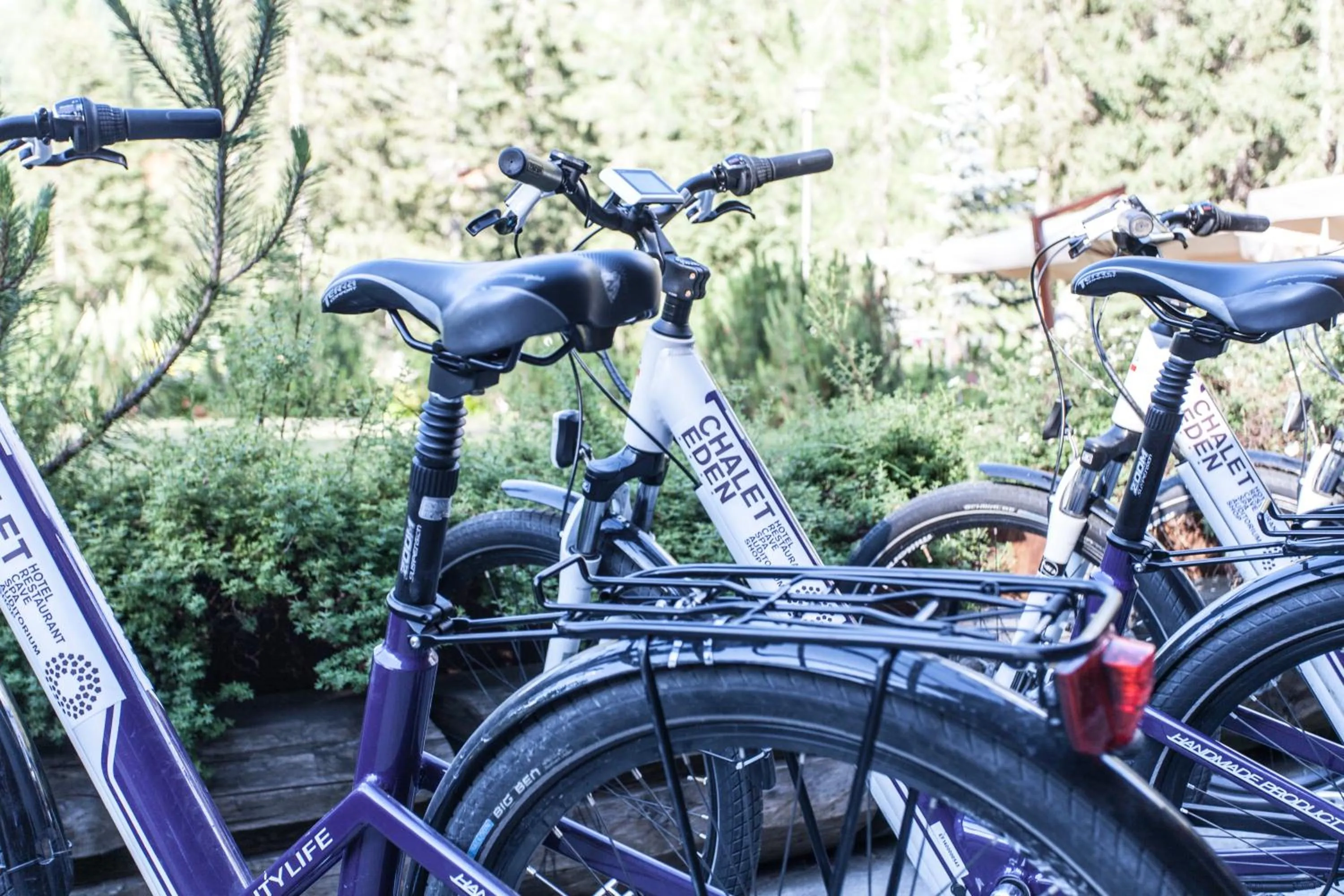 Cycling in Chalet Eden Eco Hotel, Restaurant & Wellness