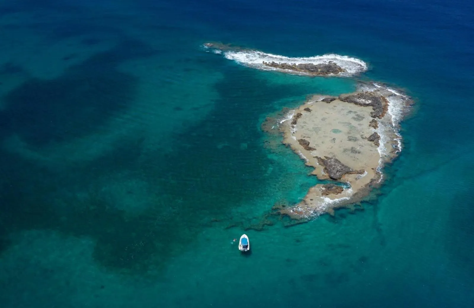 Activities in Dolphin Village - Sea Resort By Ran Hotels